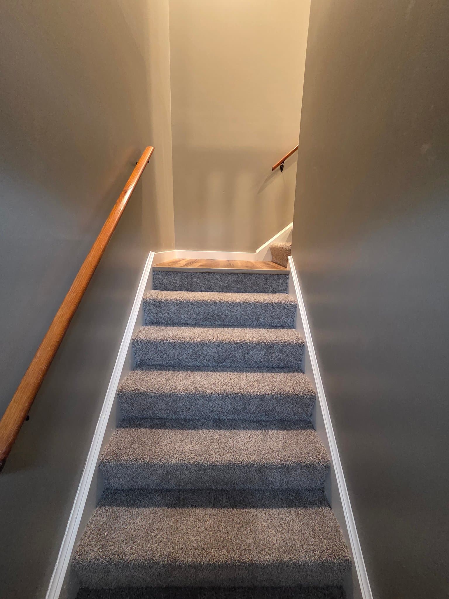 Mechanicsburg Multiplex: 4225 Roth Ln