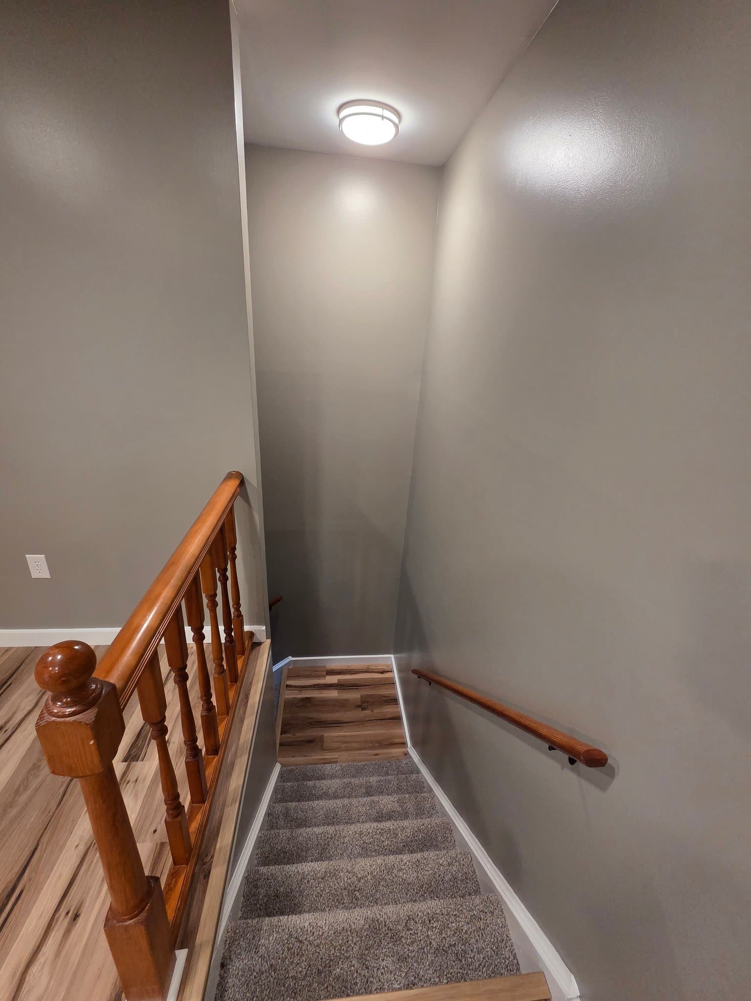 Mechanicsburg Multiplex: 4225 Roth Ln