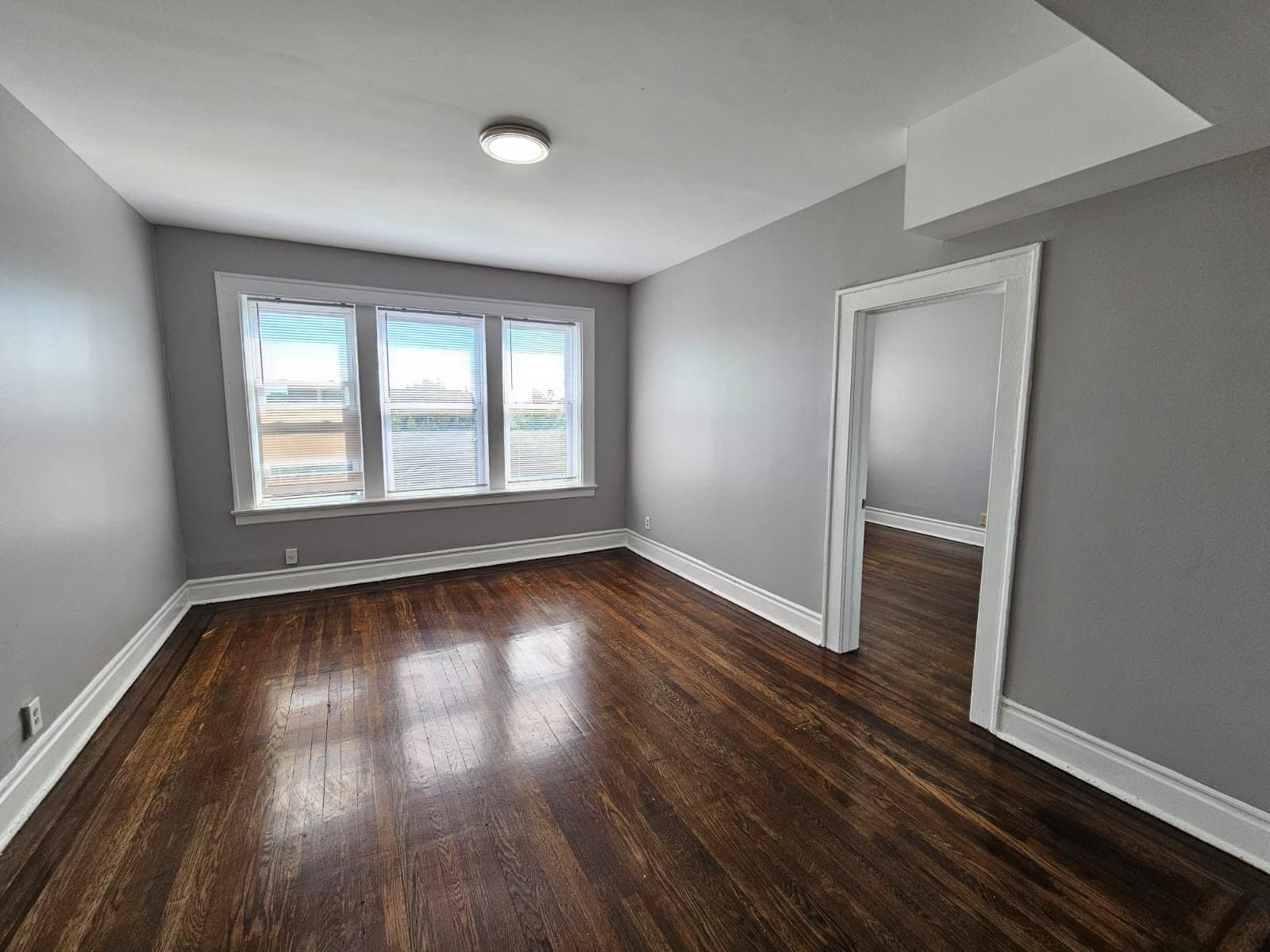 orange Apartment: 20 canfield st