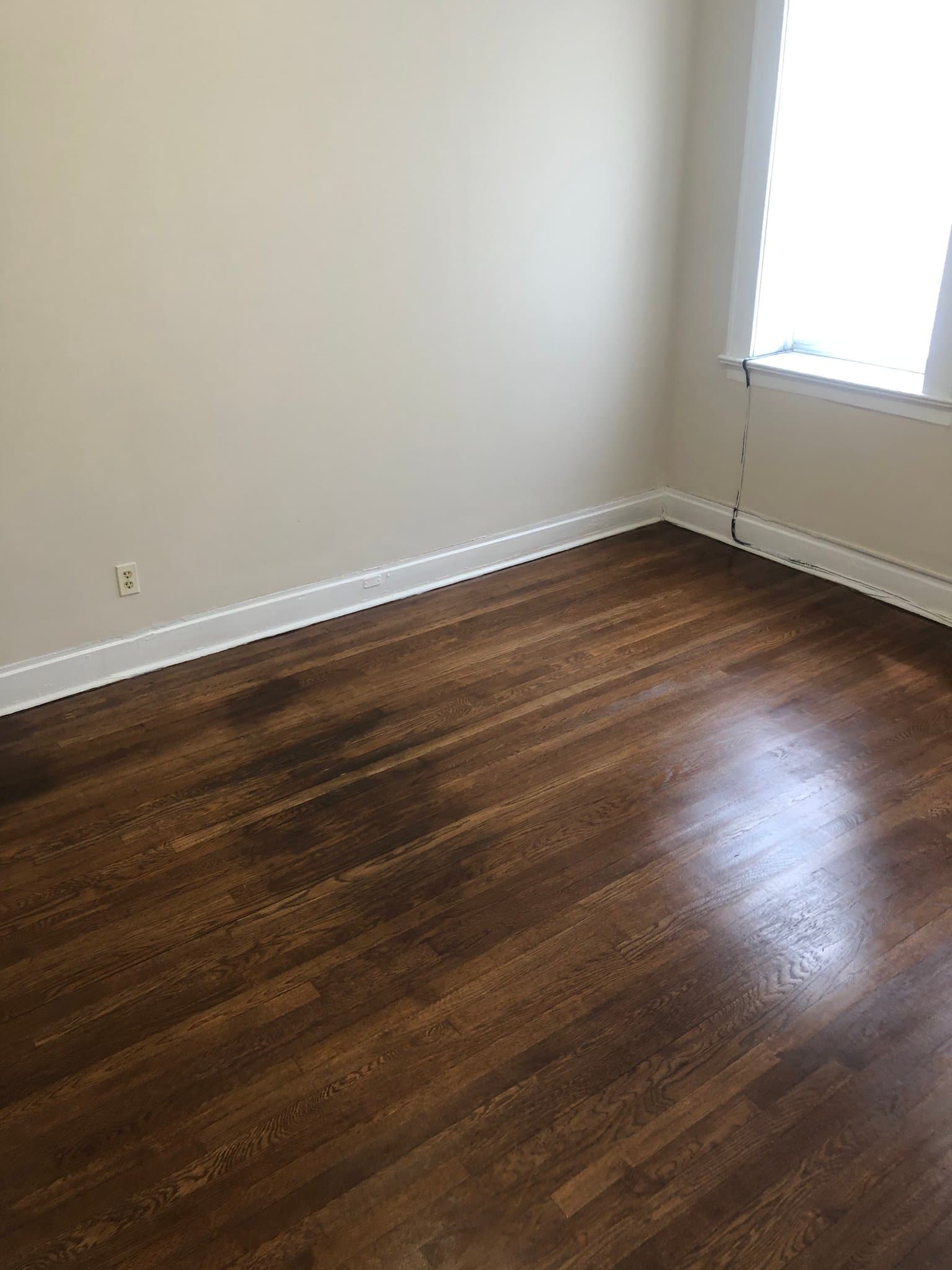 orange Apartment: 20 canfield st