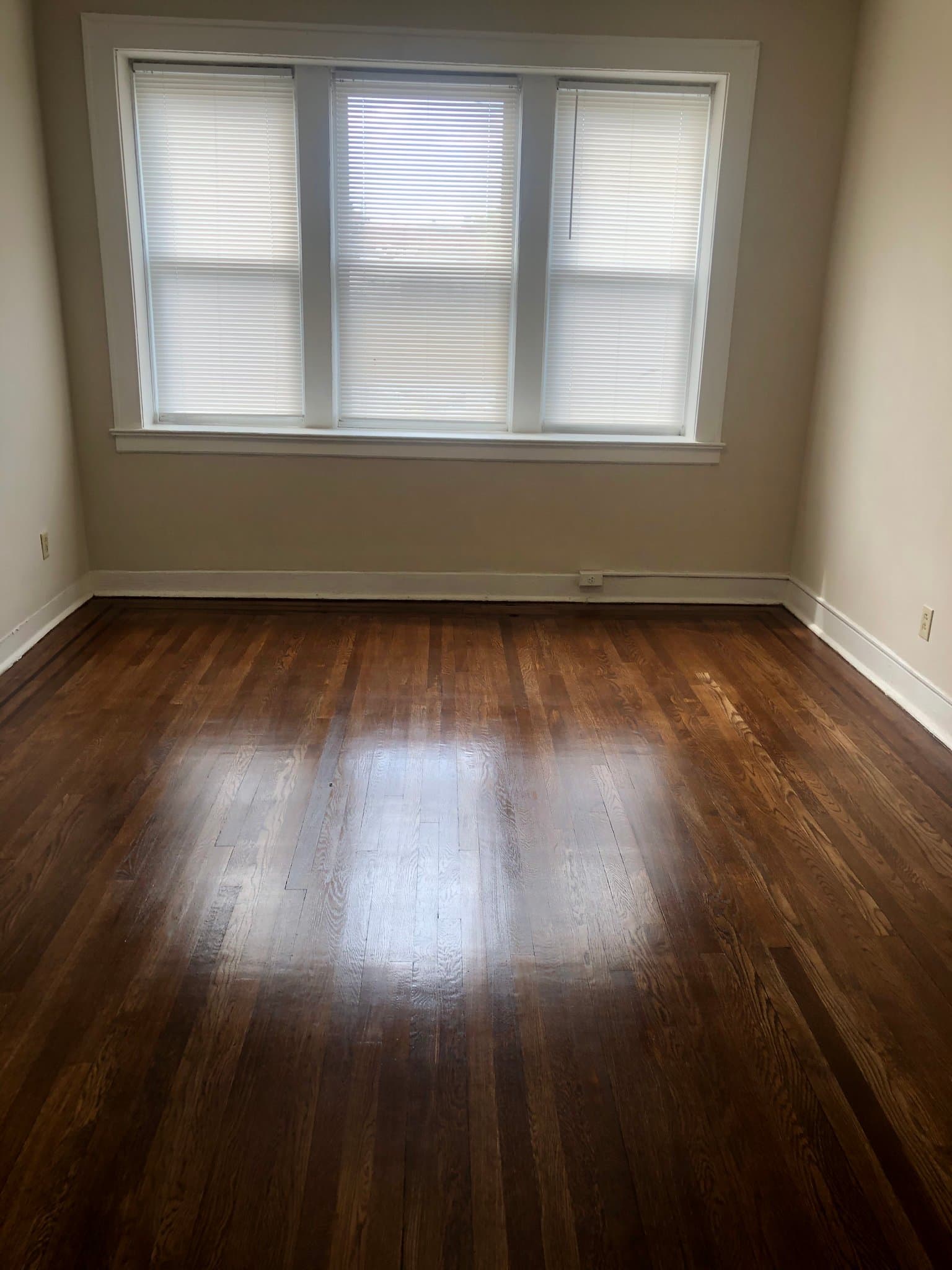 orange Apartment: 20 canfield st