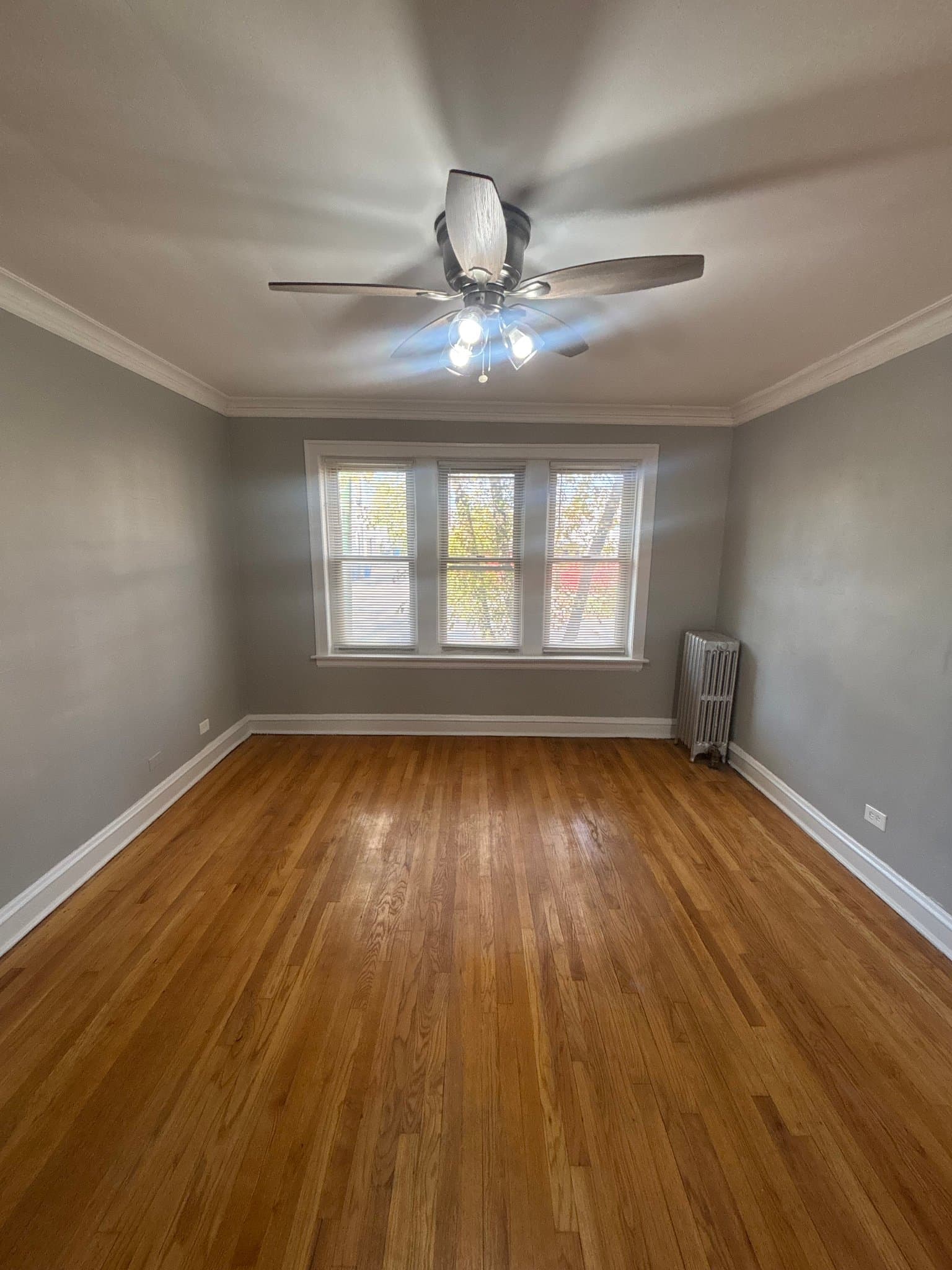 Chicago Apartment: 5600 S Francisco