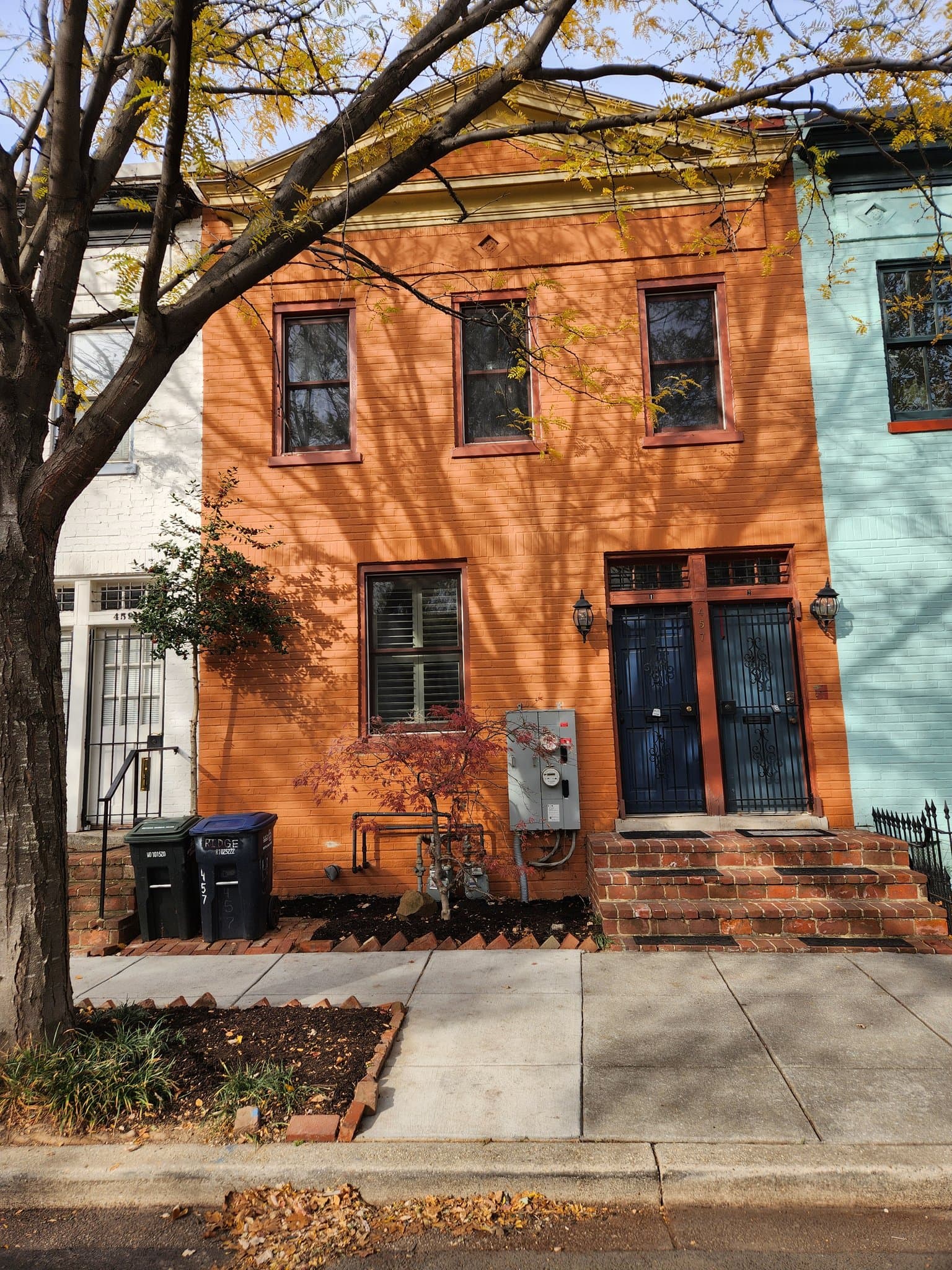 Washington Multiplex: 457 Ridge St NW
