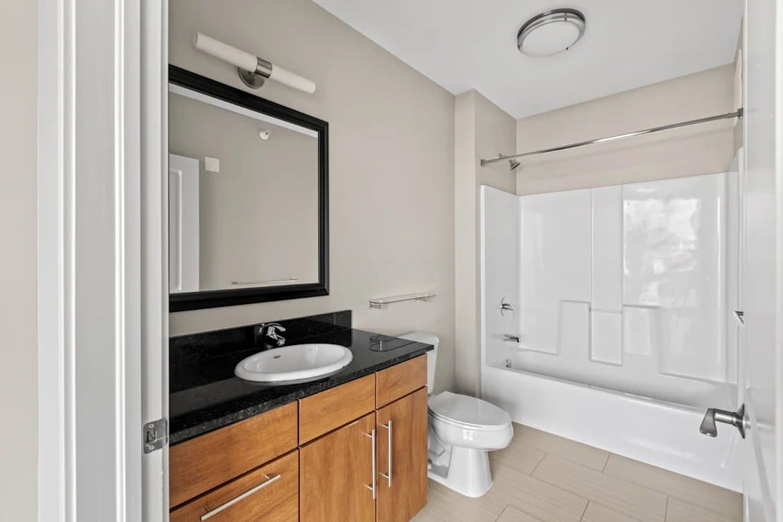 Chicago Condo: 210 W Erie St