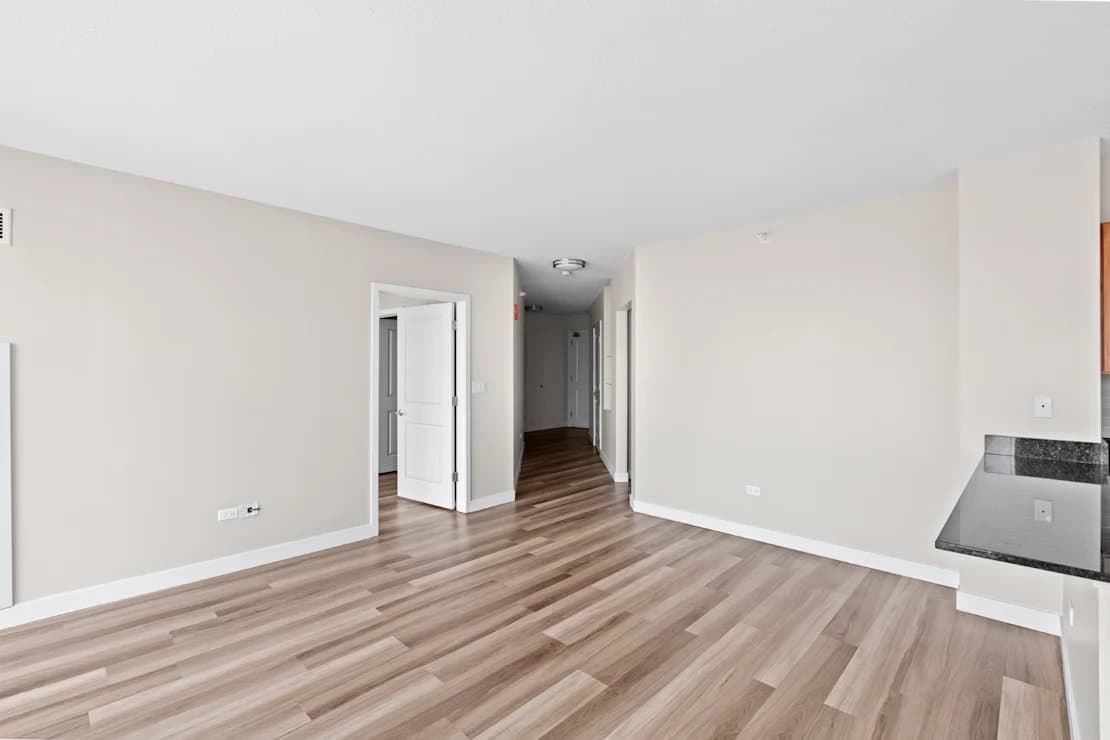Chicago Condo: 210 W Erie St