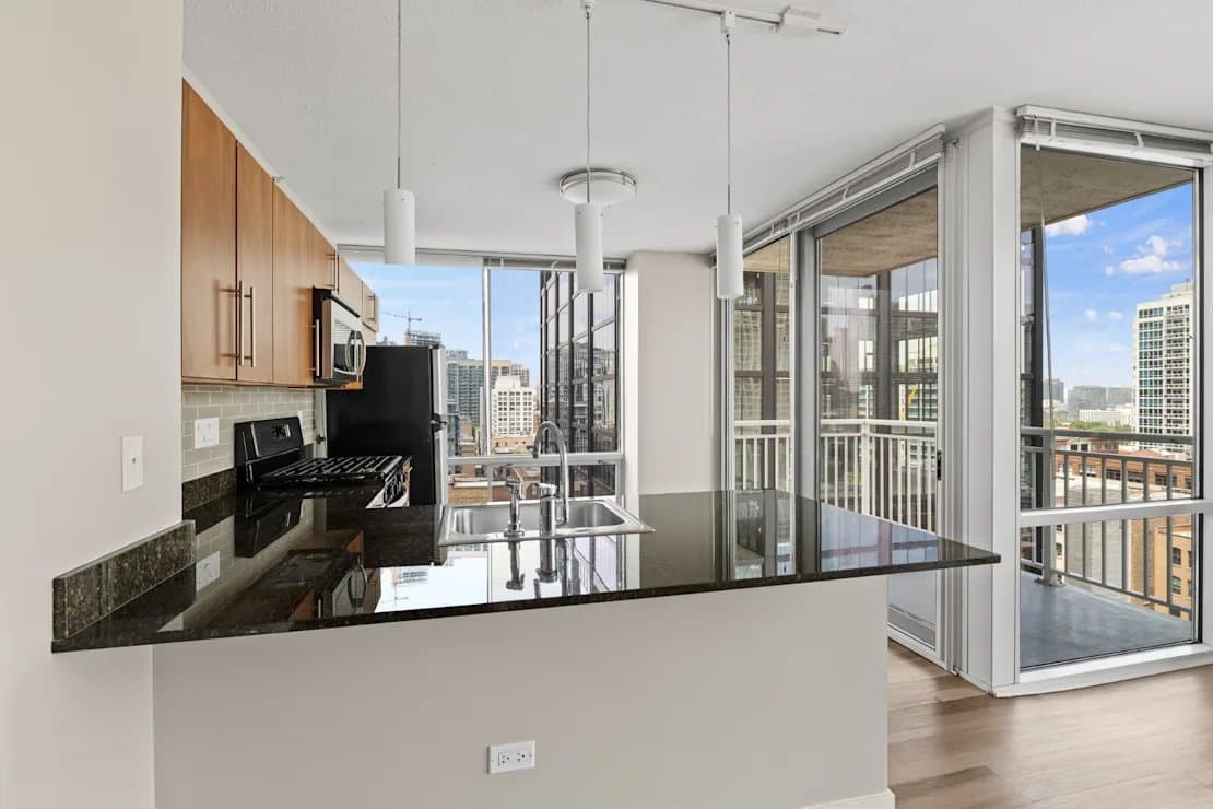 Chicago Condo: 210 W Erie St