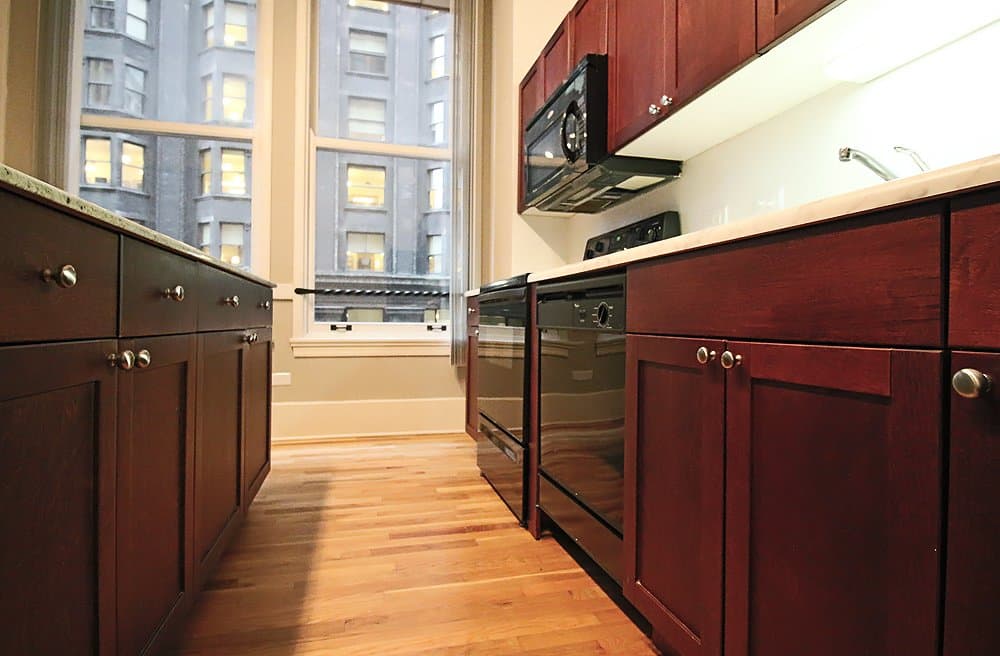 Chicago Condo: 351 S Dearborn St
