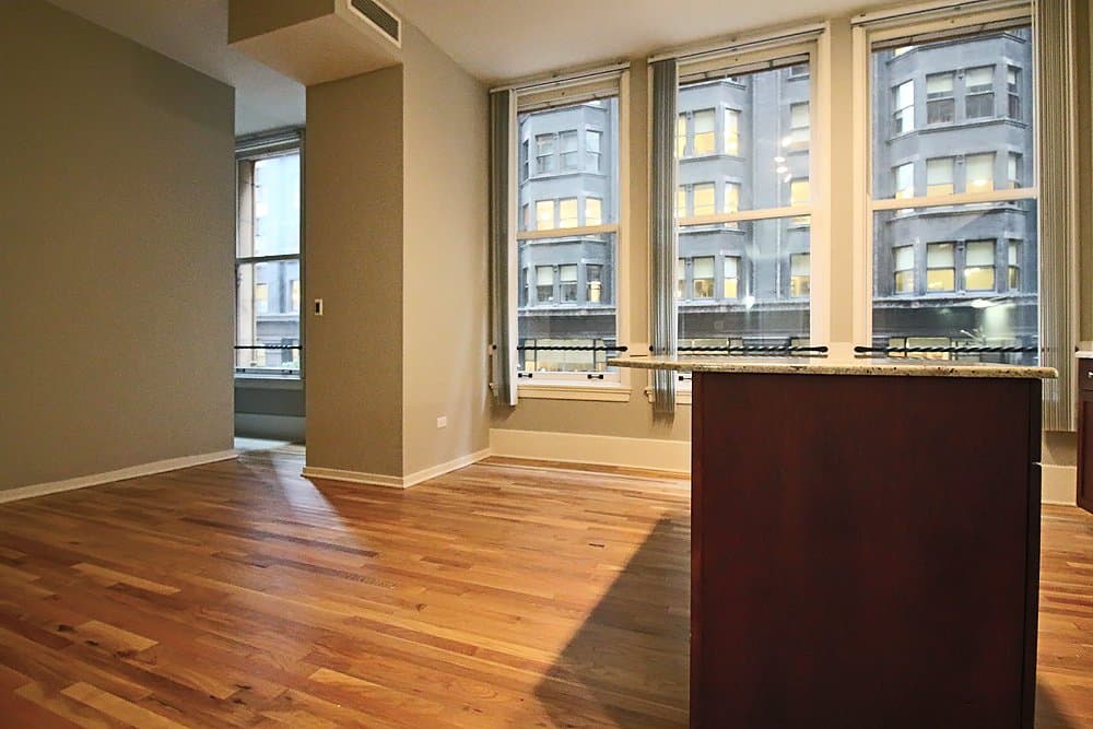 Chicago Condo: 351 S Dearborn St