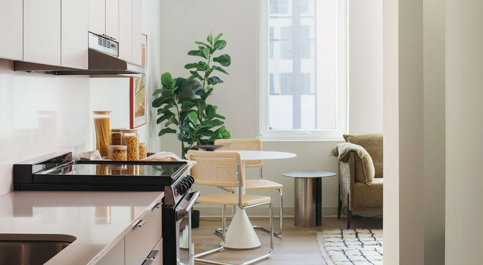 Chicago Condo: 859 West North Avenue