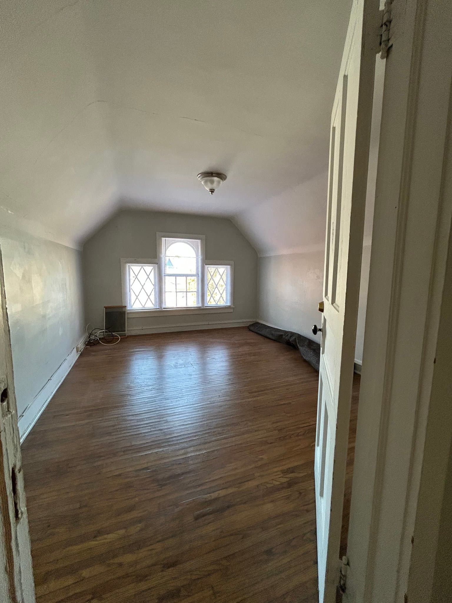 Buffalo Multiplex: 527 Massachusett Ave