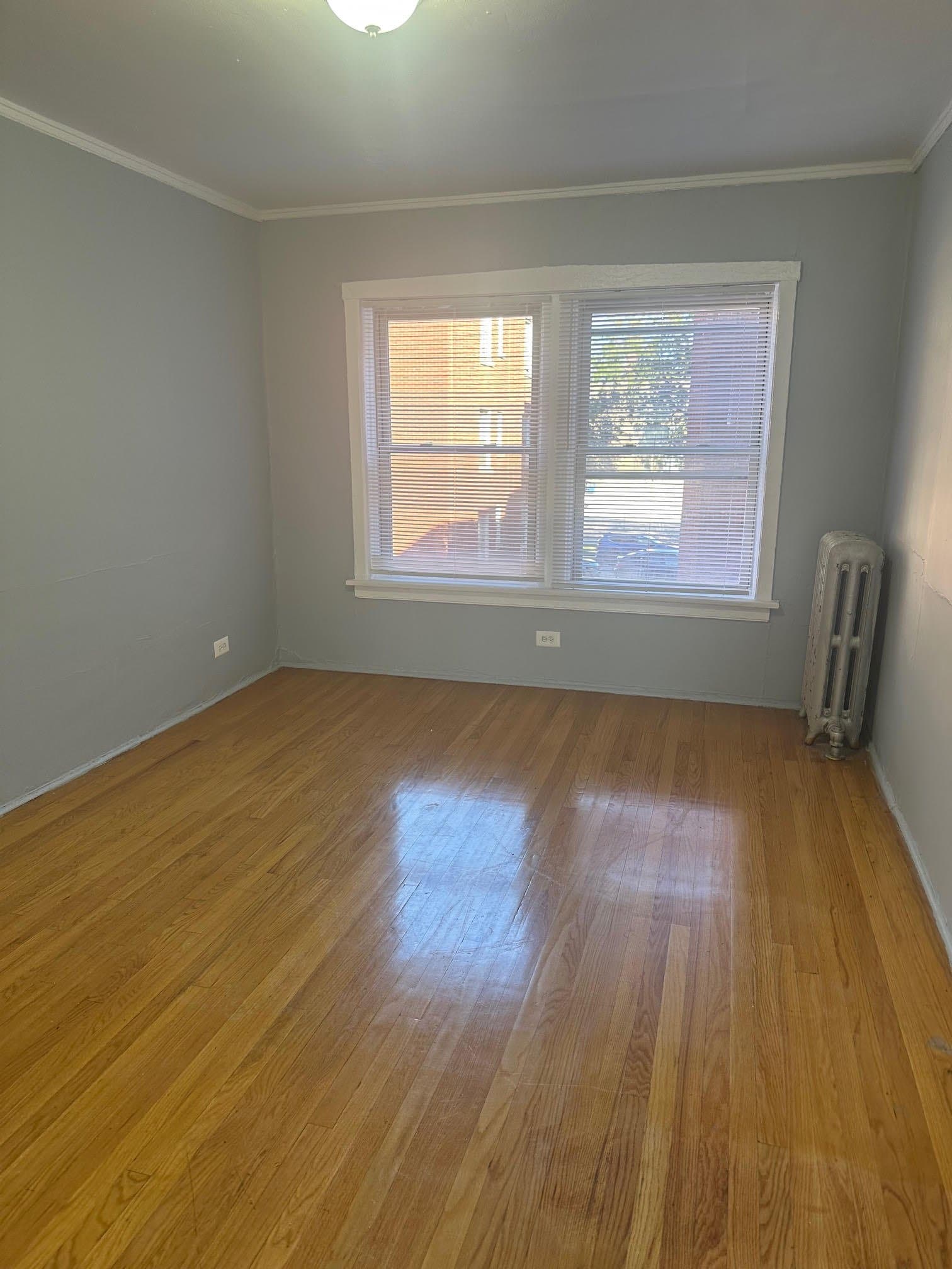 Chicago Apartment: 4029 1/2 W Melrose St