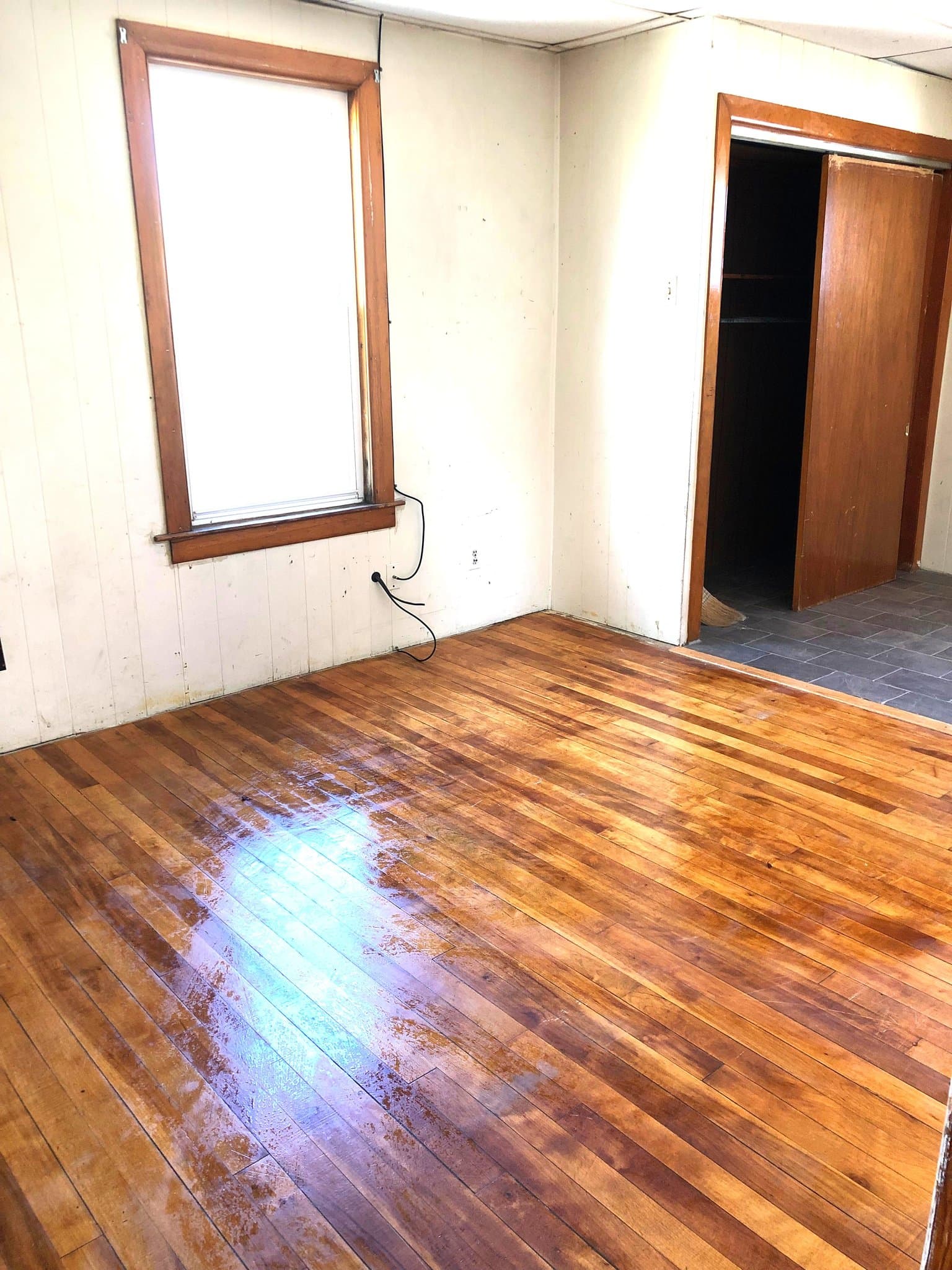 Worcester Apartment: 48 Plantation St.