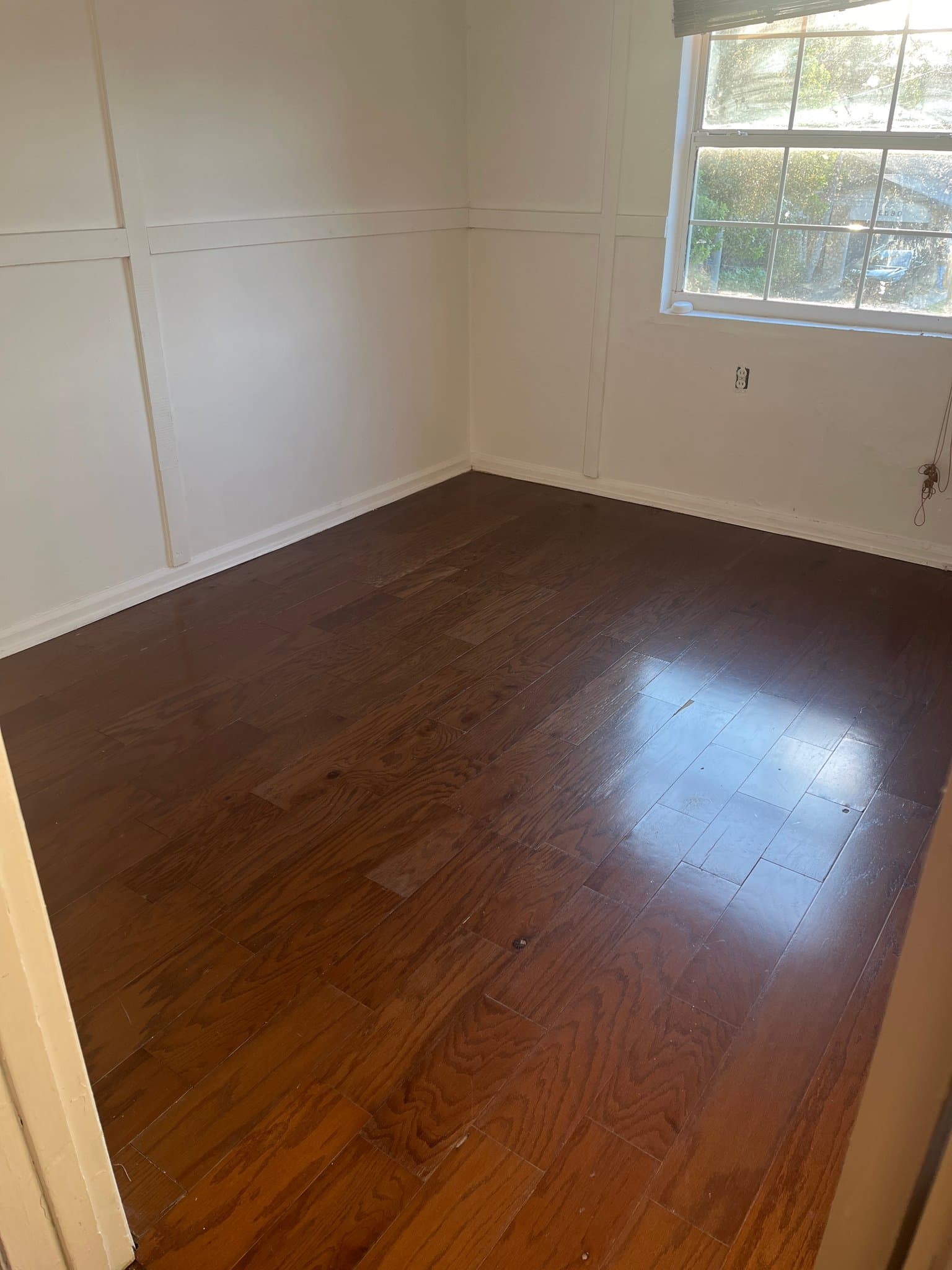 St Petersburg Apartment: 5609 61st n