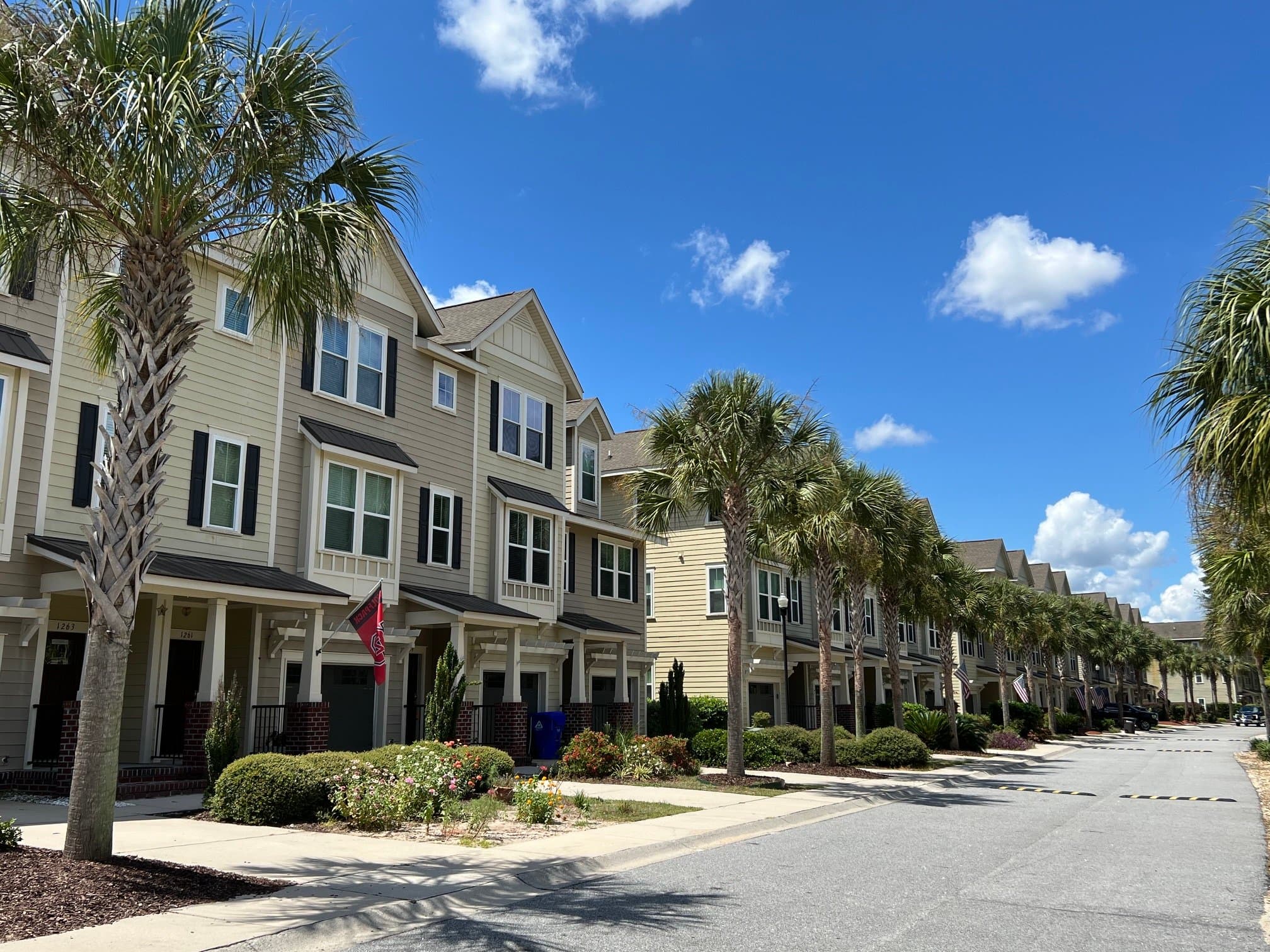 Mount Pleasant Townhome: 1263 Dingle Rd