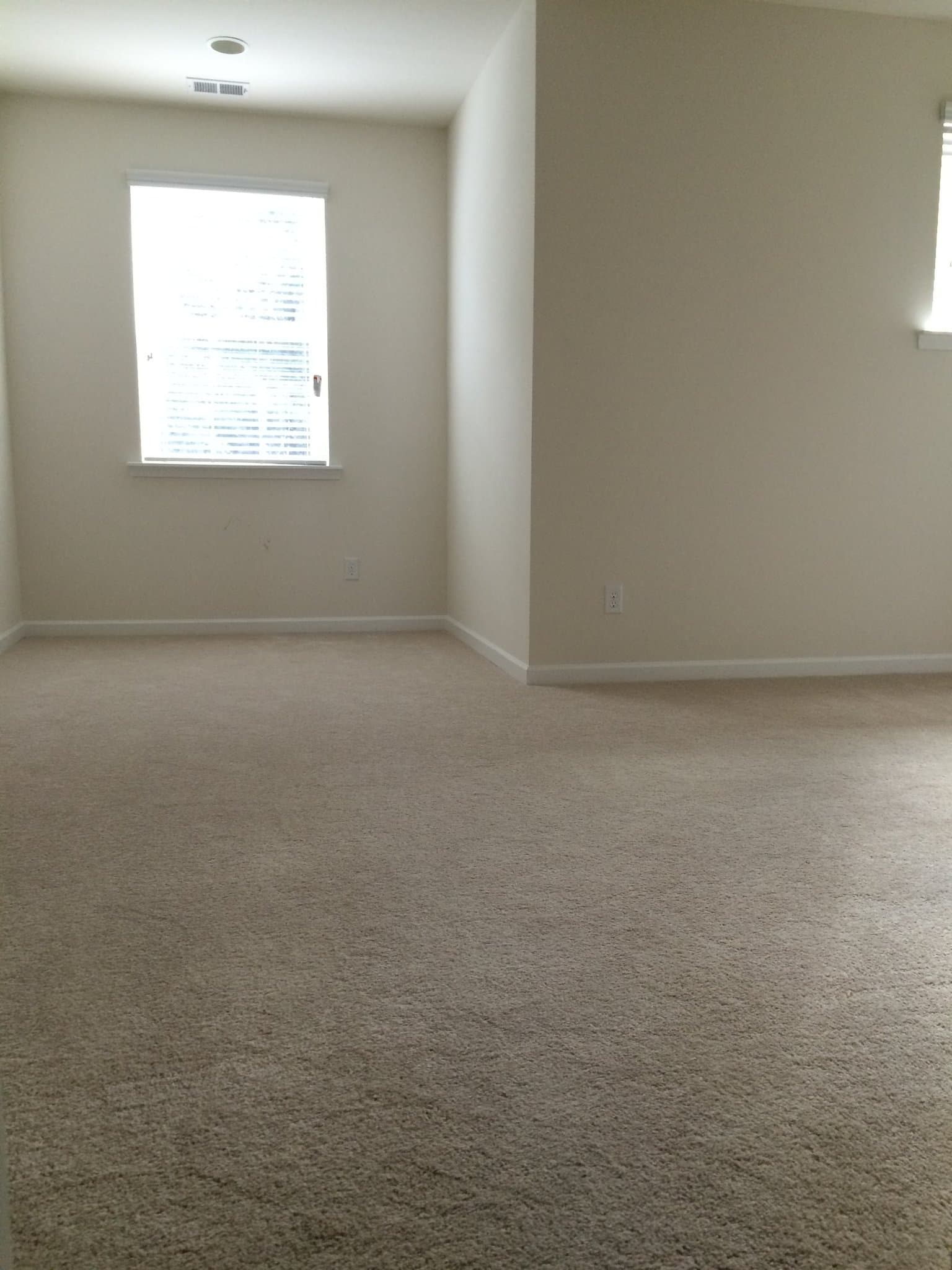Mount Pleasant Townhome: 1263 Dingle Rd