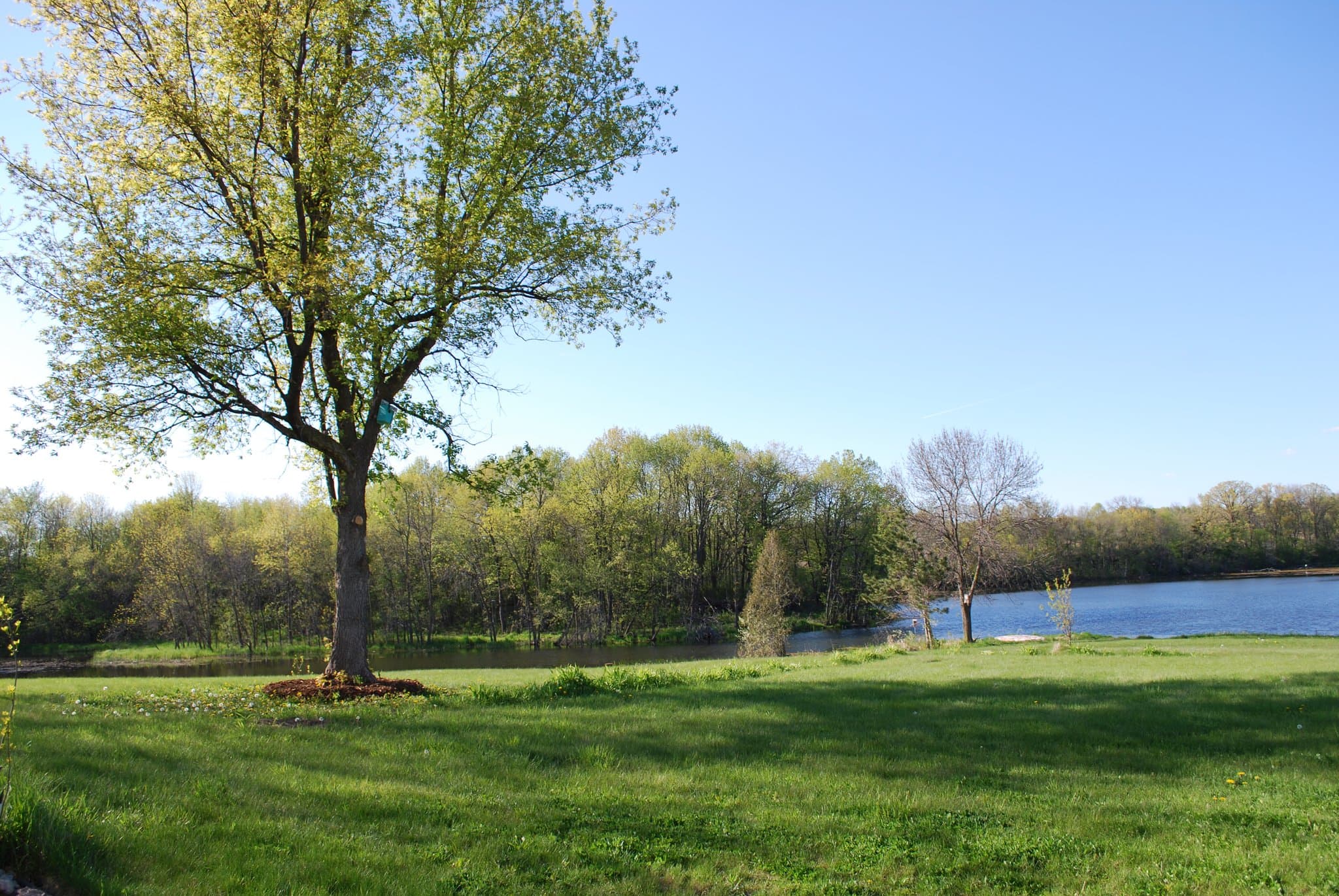 Prior Lake House: 4396 220th St E