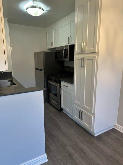 Los Angeles Apartment: 1455 S Wooster St