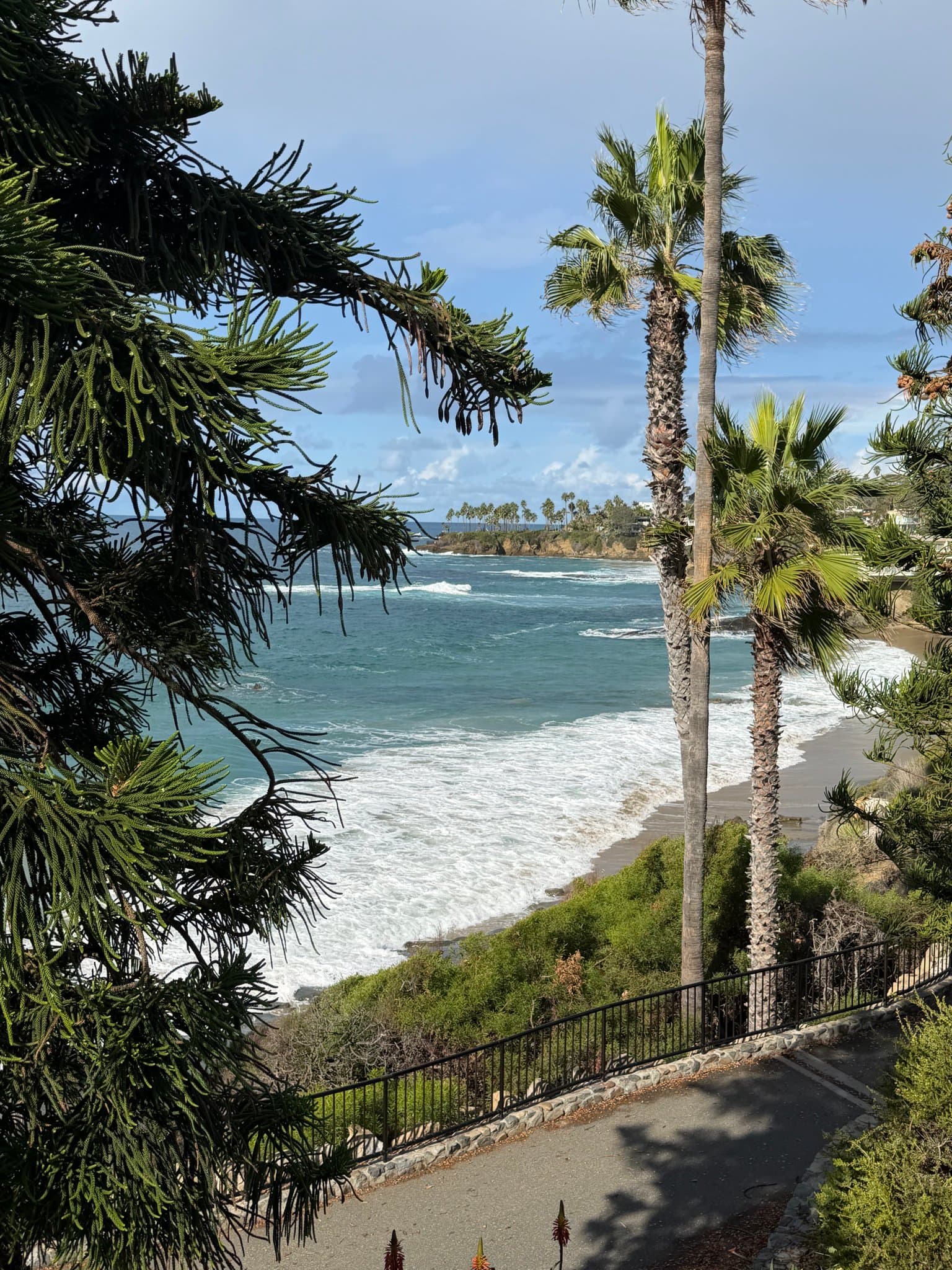 Laguna Beach Single Room: 345 Myrtle St