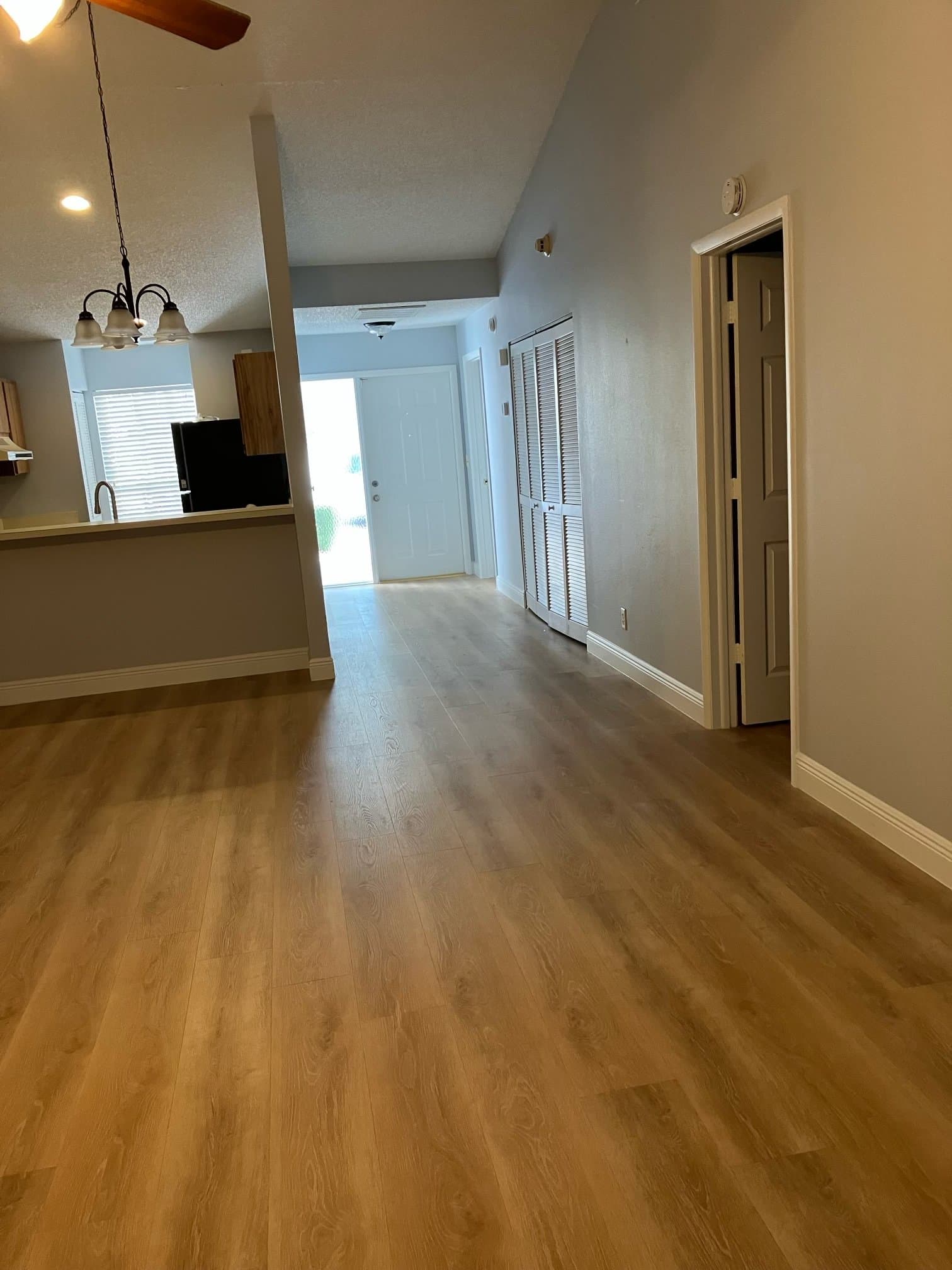 Tampa House: 16119 Rambling Vine Dr E