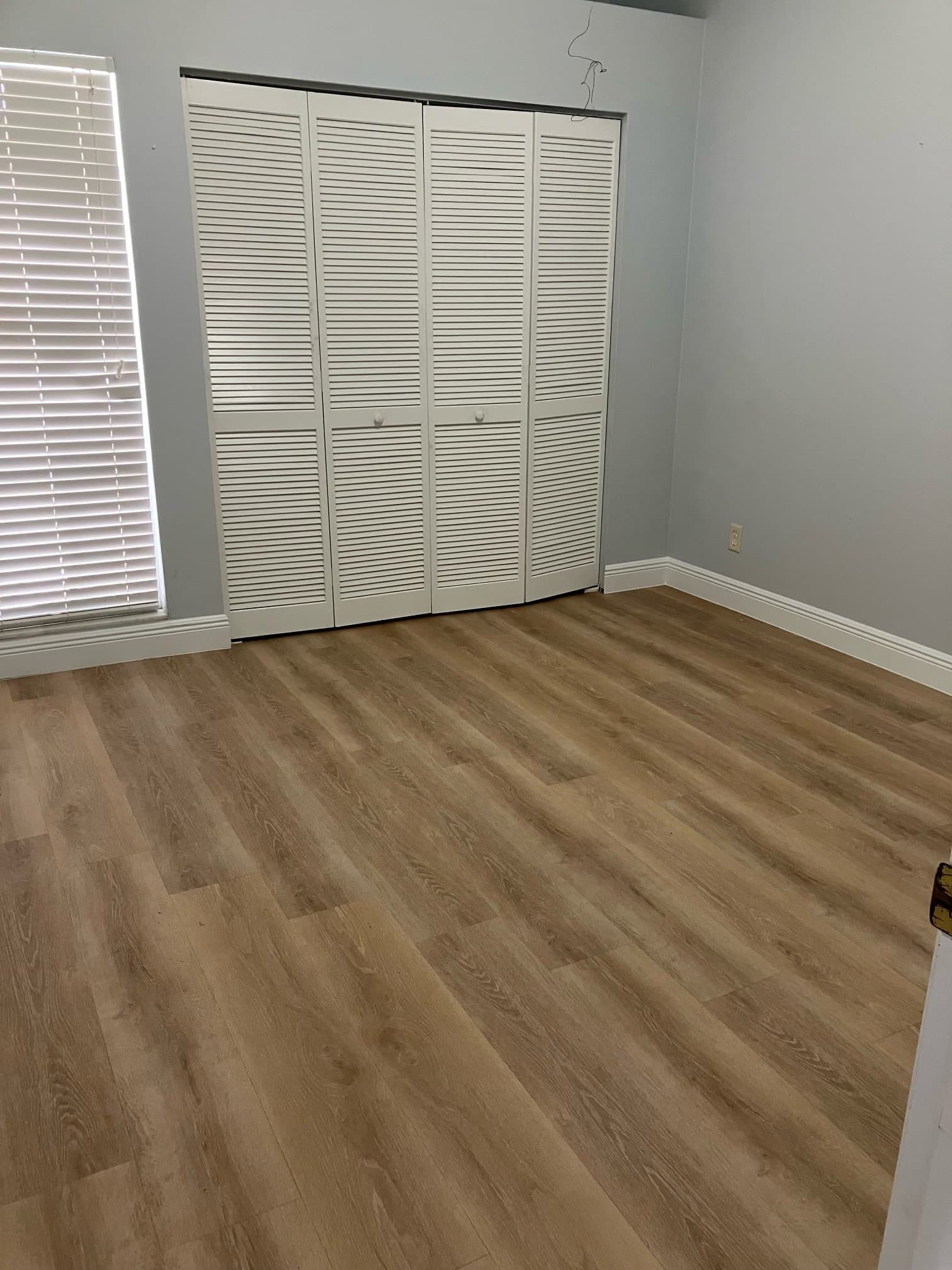Tampa House: 16119 Rambling Vine Dr E