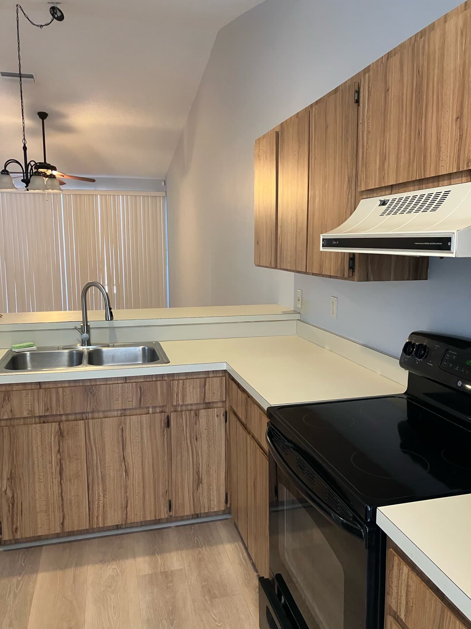 Tampa House: 16119 Rambling Vine Dr E