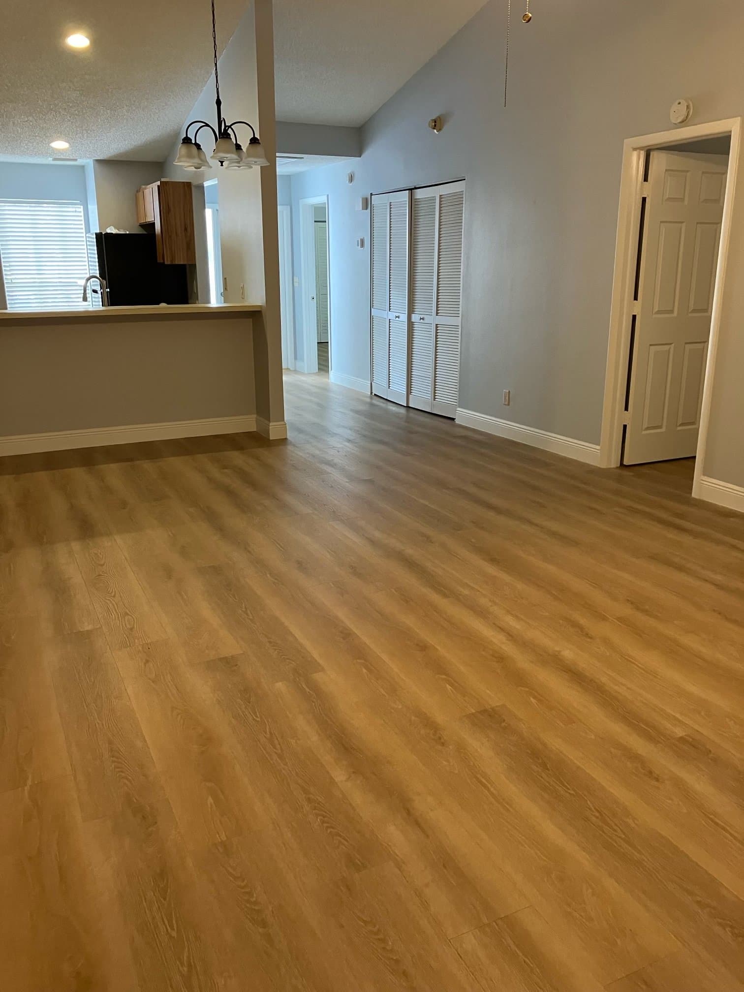 Tampa House: 16119 Rambling Vine Dr E