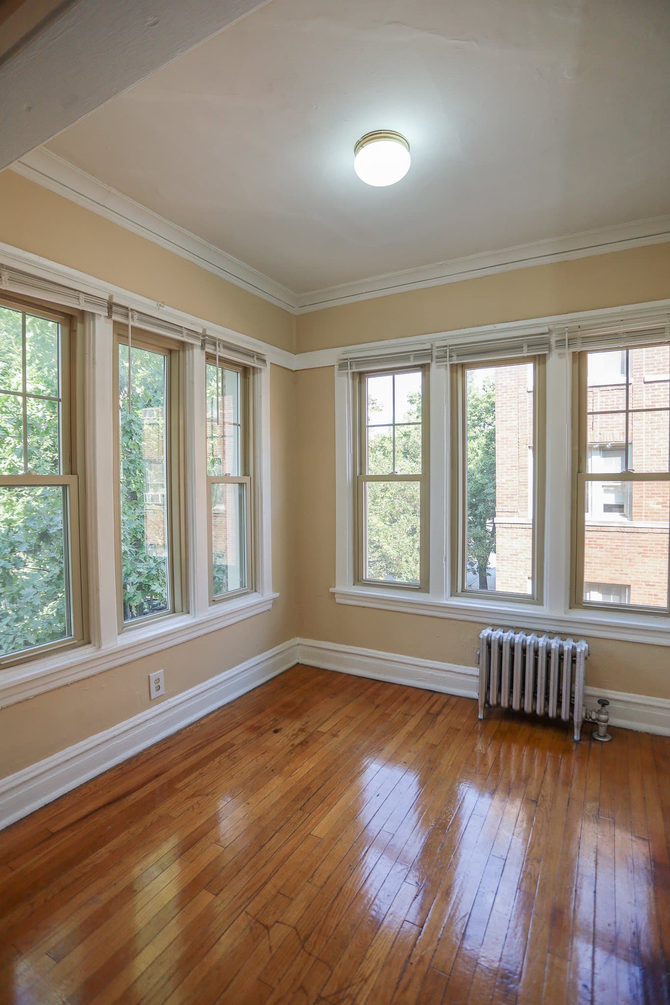 Chicago Apartment: 4441 N Damen Ave