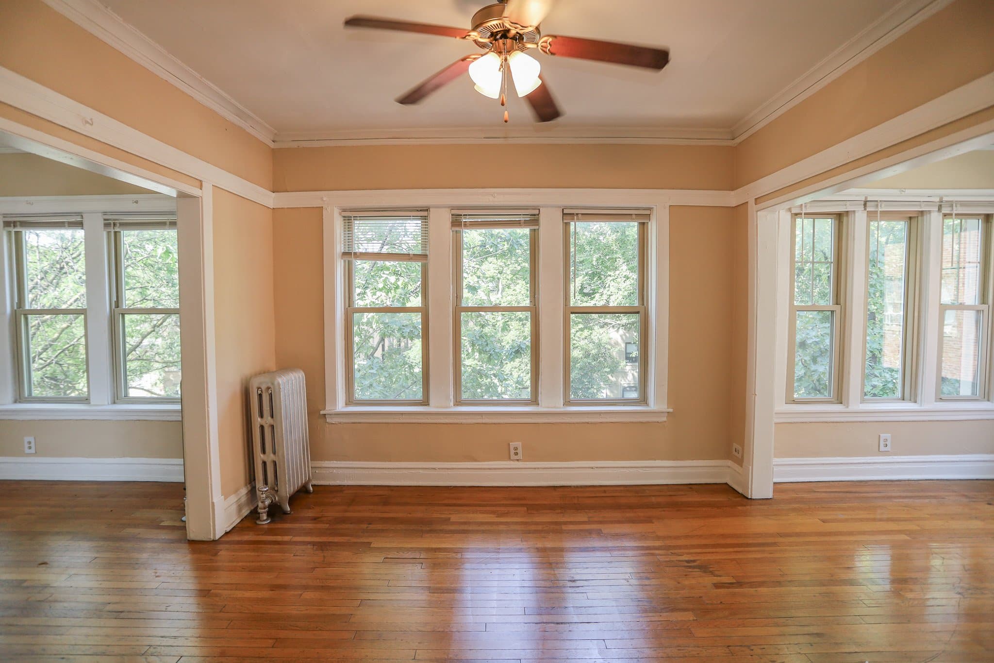 Chicago Apartment: 4441 N Damen Ave