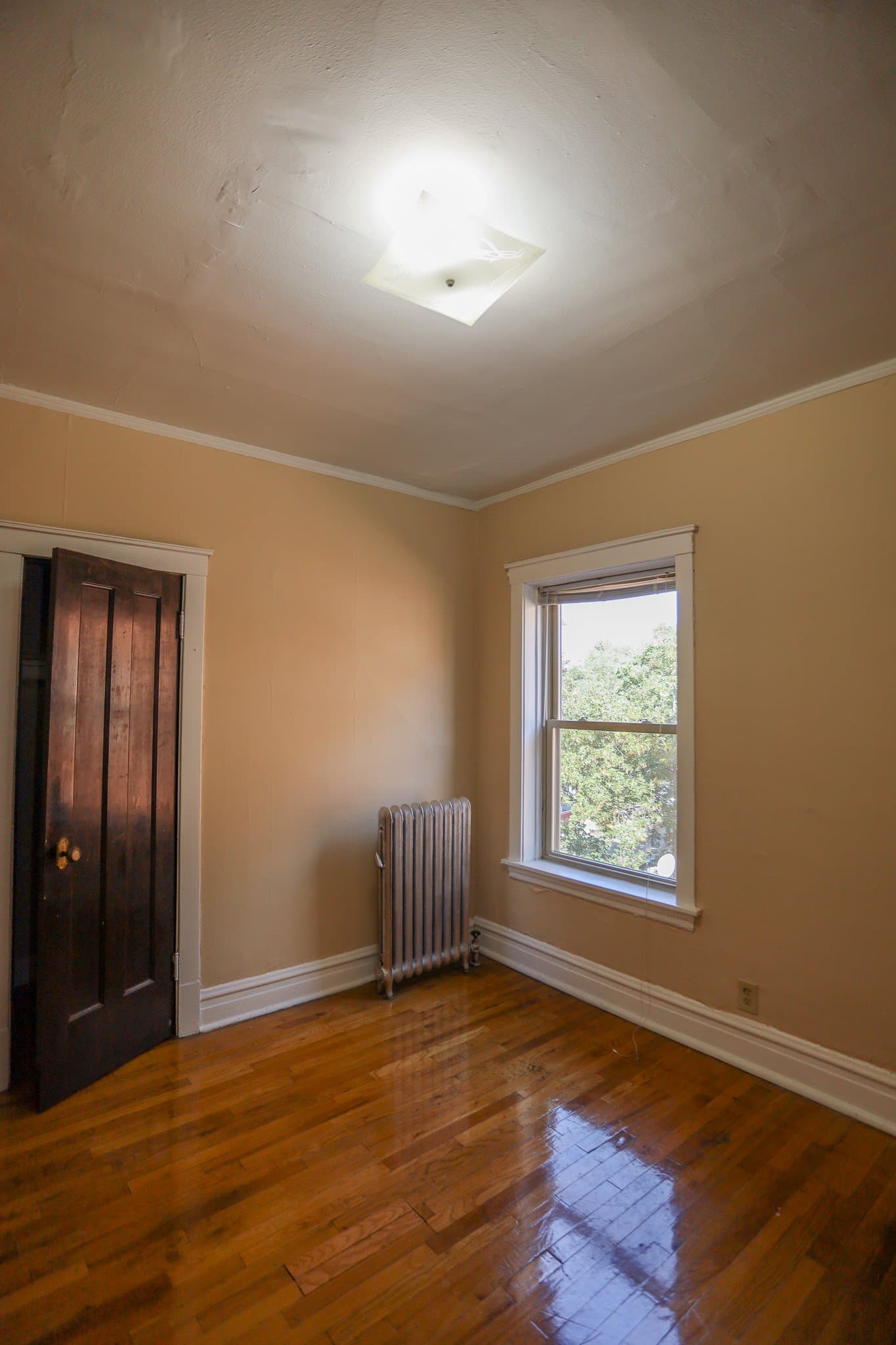 Chicago Apartment: 4441 N Damen Ave