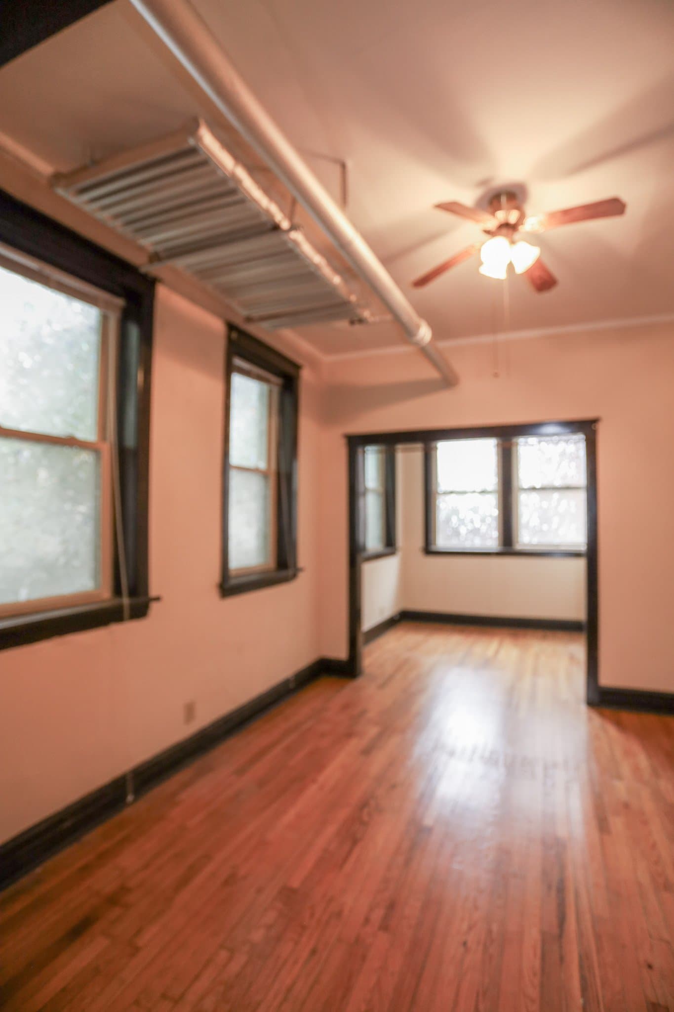 Chicago Apartment: 4449 N Damen