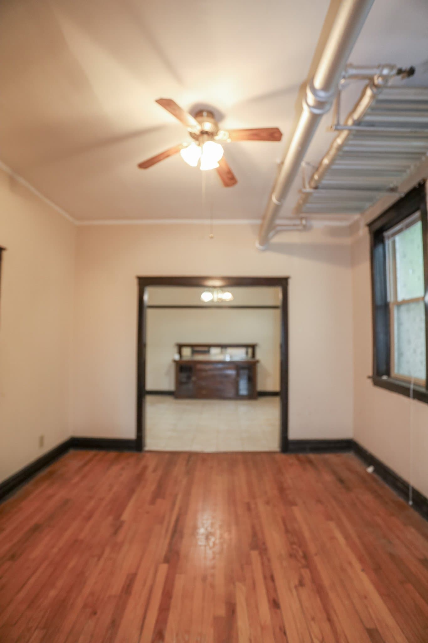 Chicago Apartment: 4449 N Damen