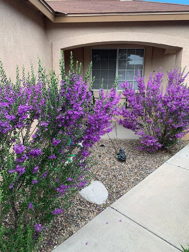 Albuquerque House: 10219 Round Up Pl SW