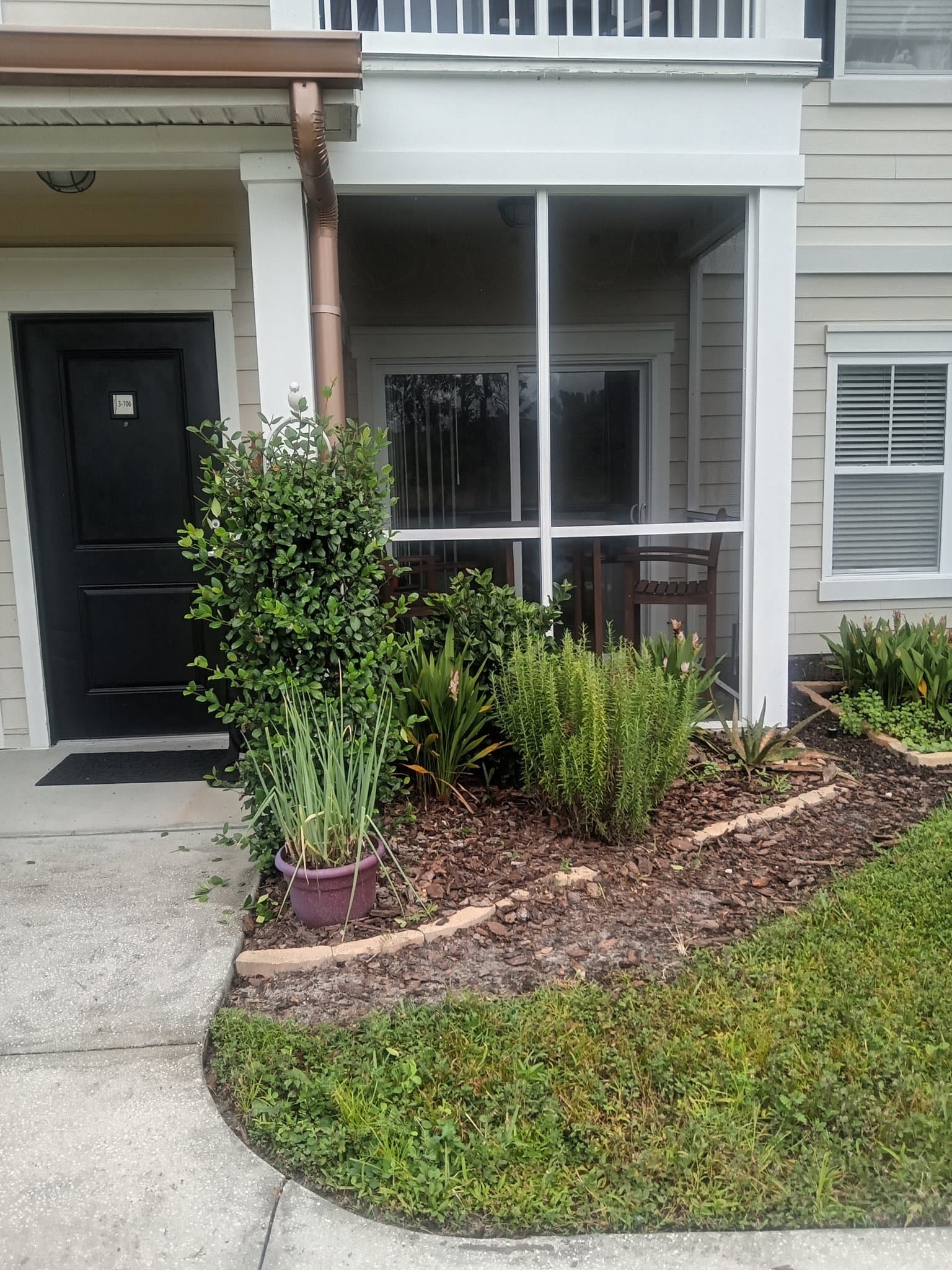 Lutz Apartment: 23410 Hidden Hammock Pl