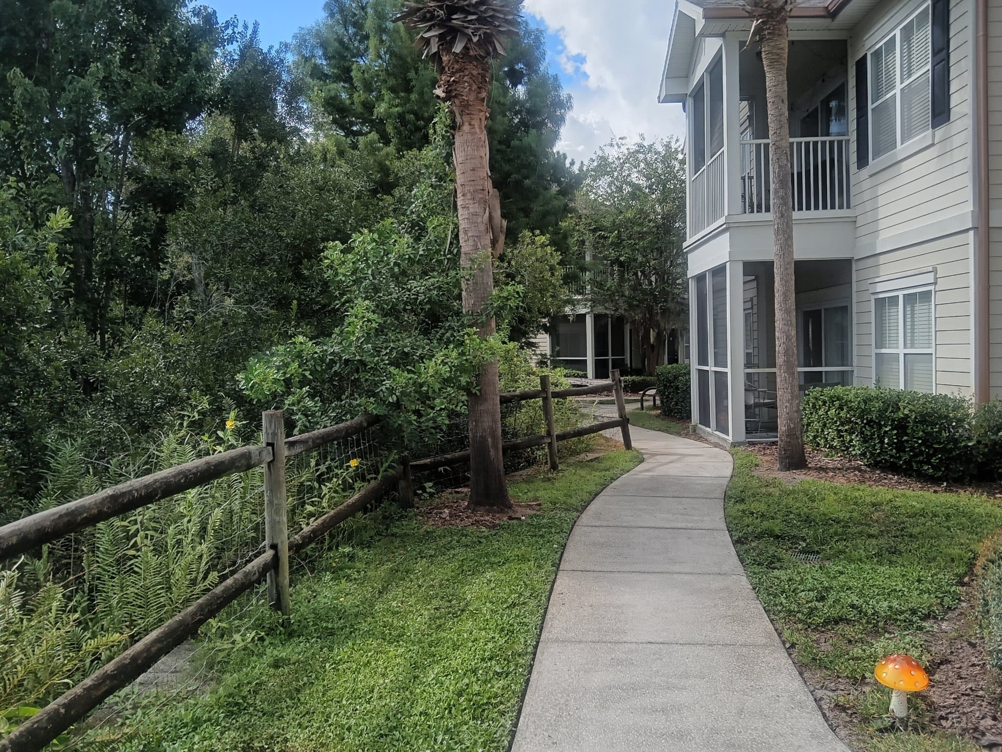 Lutz Apartment: 23410 Hidden Hammock Pl