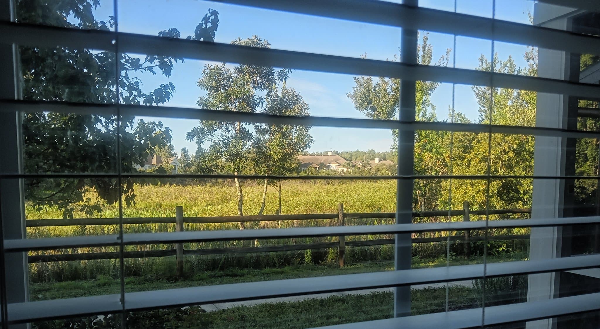 Lutz Apartment: 23410 Hidden Hammock Pl