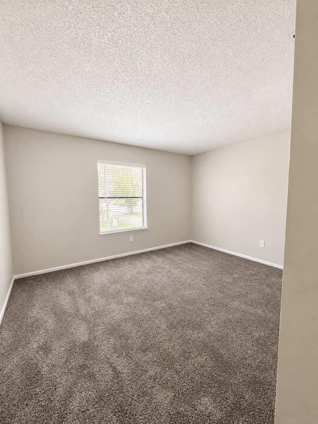 Tampa Townhome: 2572 Monica Ct