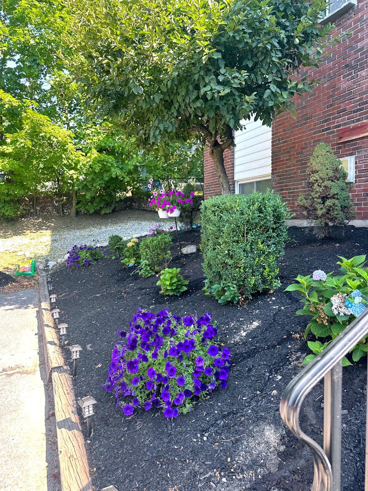 Lowell Apartment: 215 Mammoth Rd