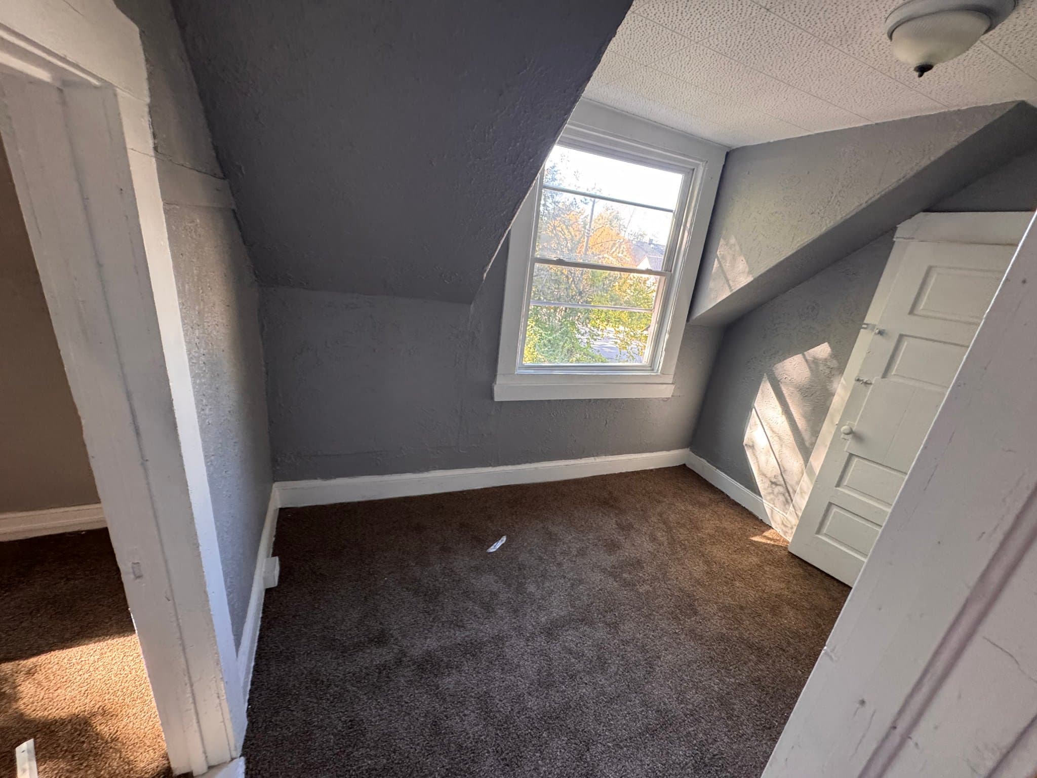 Cleveland Multiplex: 10810 Shale Ave