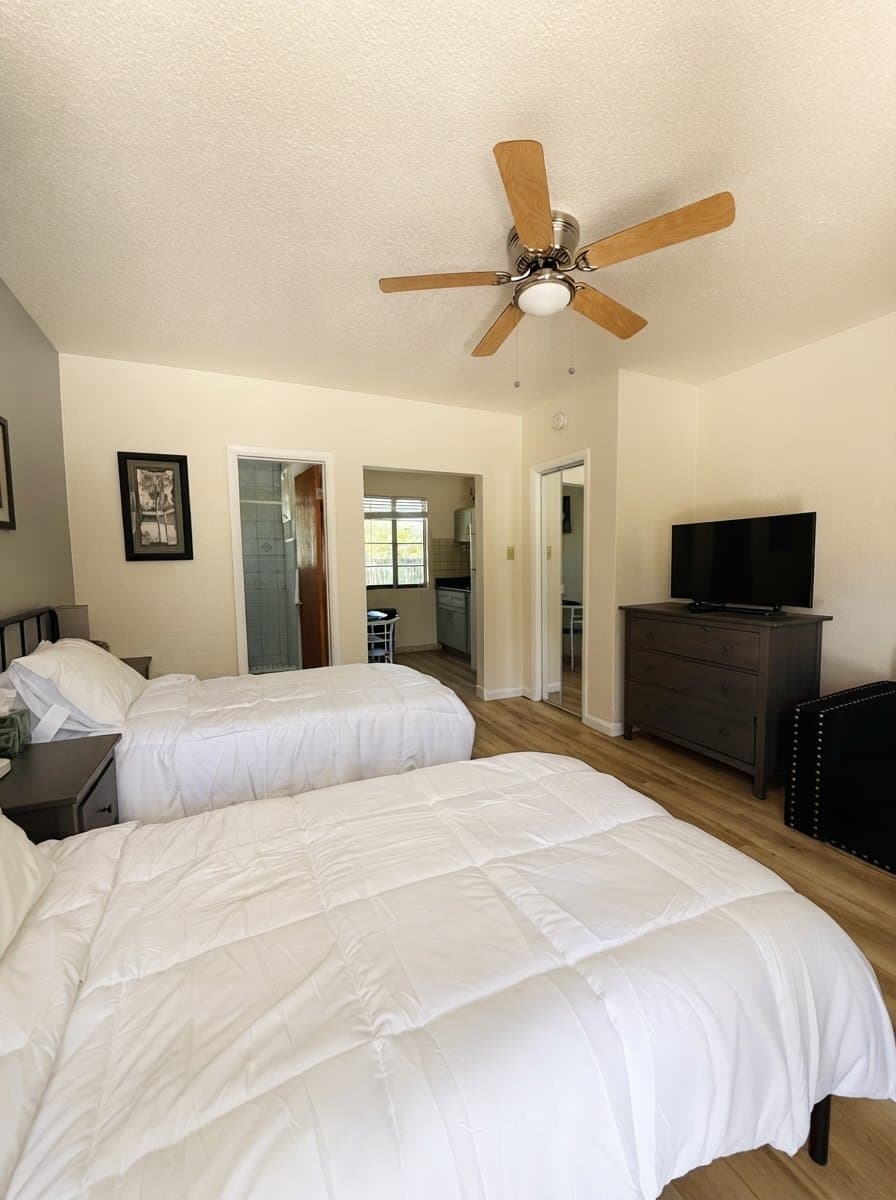 Safety Harbor Apartment: 3110 Philippe Pkwy