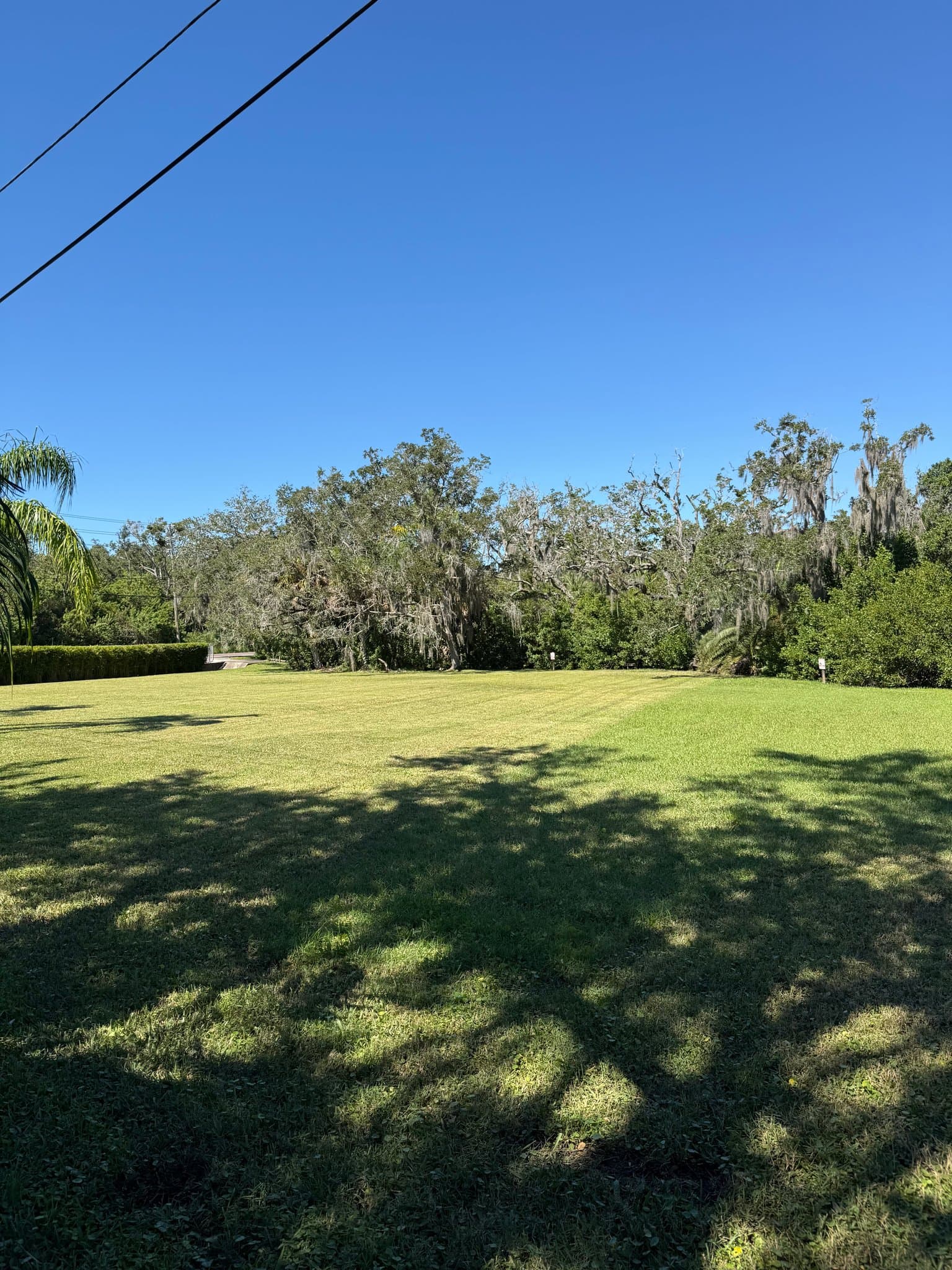 Safety Harbor Apartment: 3110 Philippe Pkwy