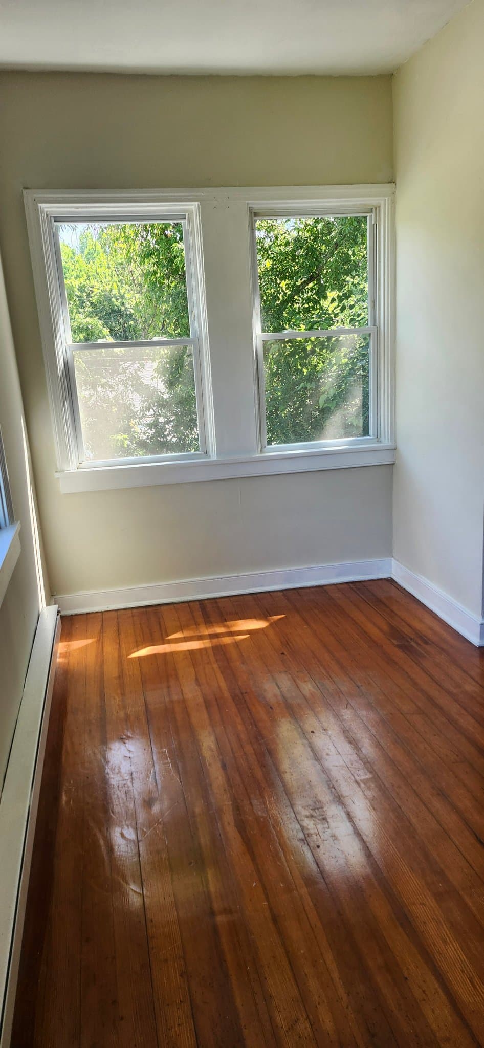 South Chesterfield Single Room: 20503 Southlawn Avenue
