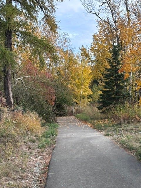 Ponderay Condo: 50 Carnelian Ave