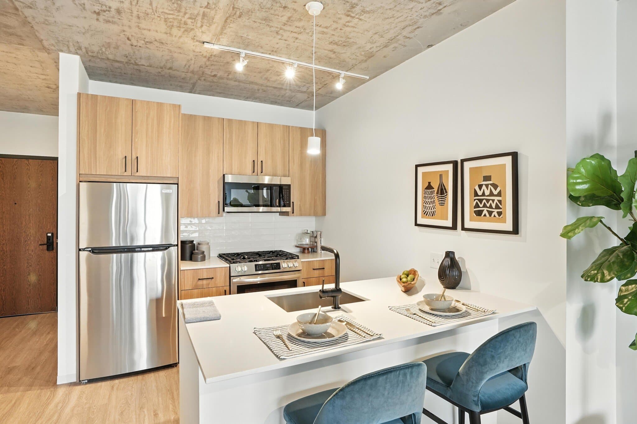 Chicago Condo: 1711 South Wabash Avenue