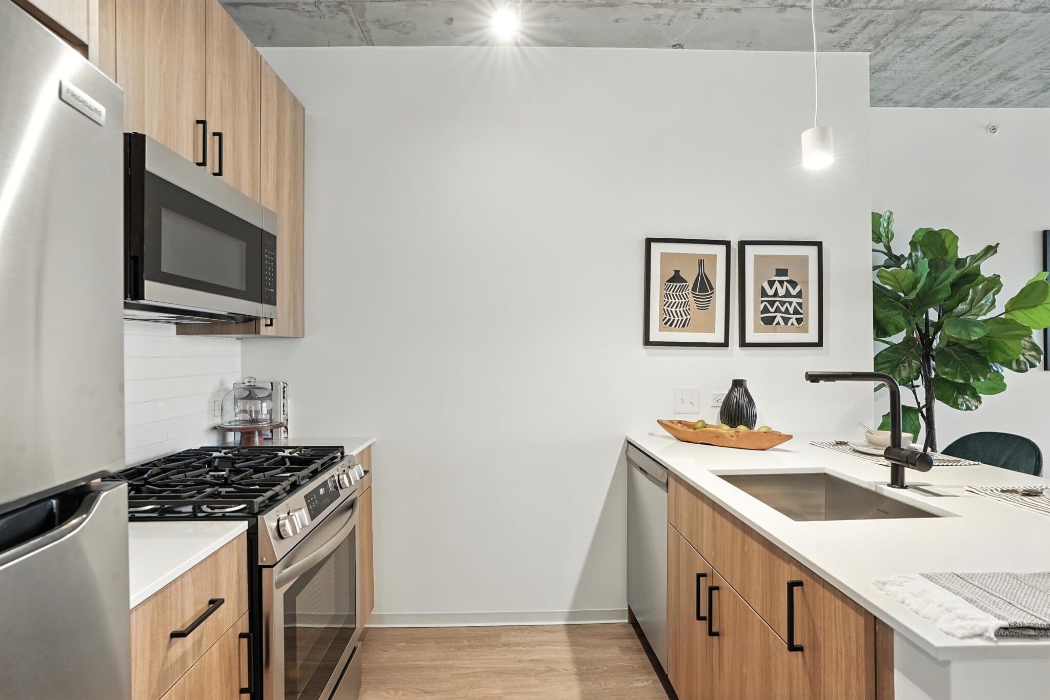 Chicago Condo: 1711 South Wabash Avenue