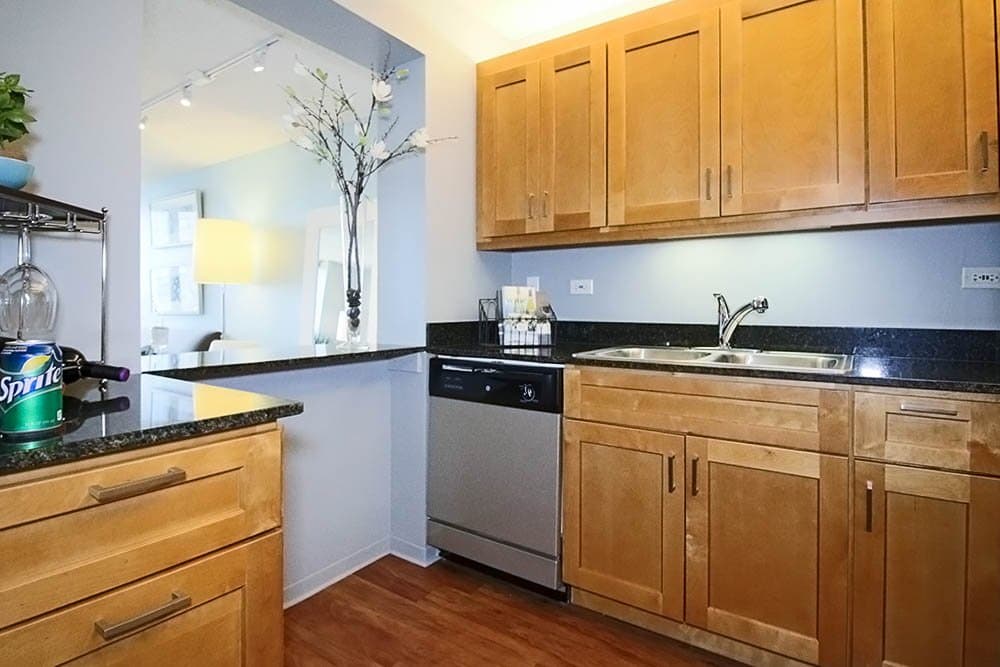 Chicago Condo: 317 North Michigan Avenue