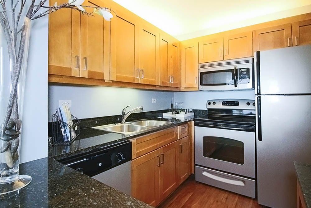 Chicago Condo: 317 North Michigan Avenue