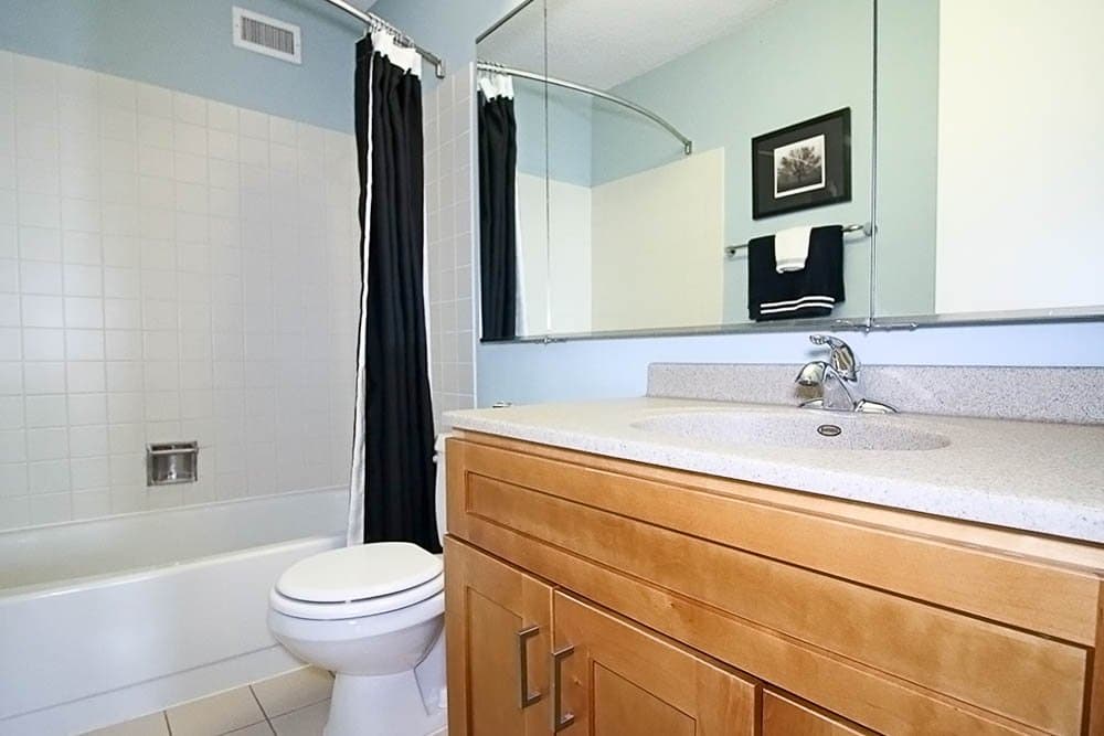 Chicago Condo: 317 North Michigan Avenue