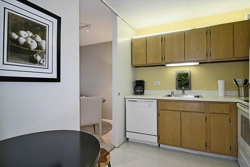 Chicago Condo: 317 North Michigan Avenue