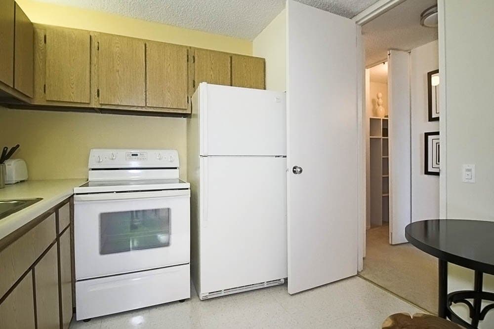 Chicago Condo: 317 North Michigan Avenue