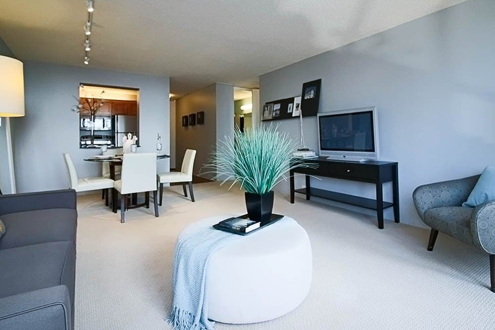 Chicago Condo: 317 North Michigan Avenue